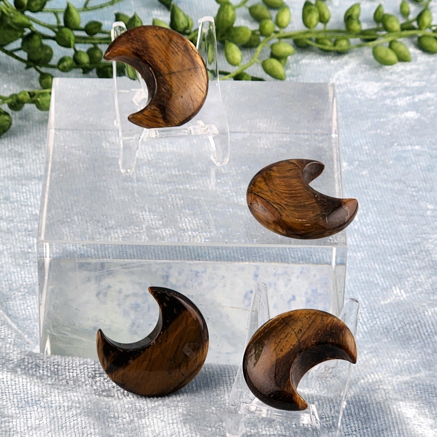 Mini Tigers Eye Moon