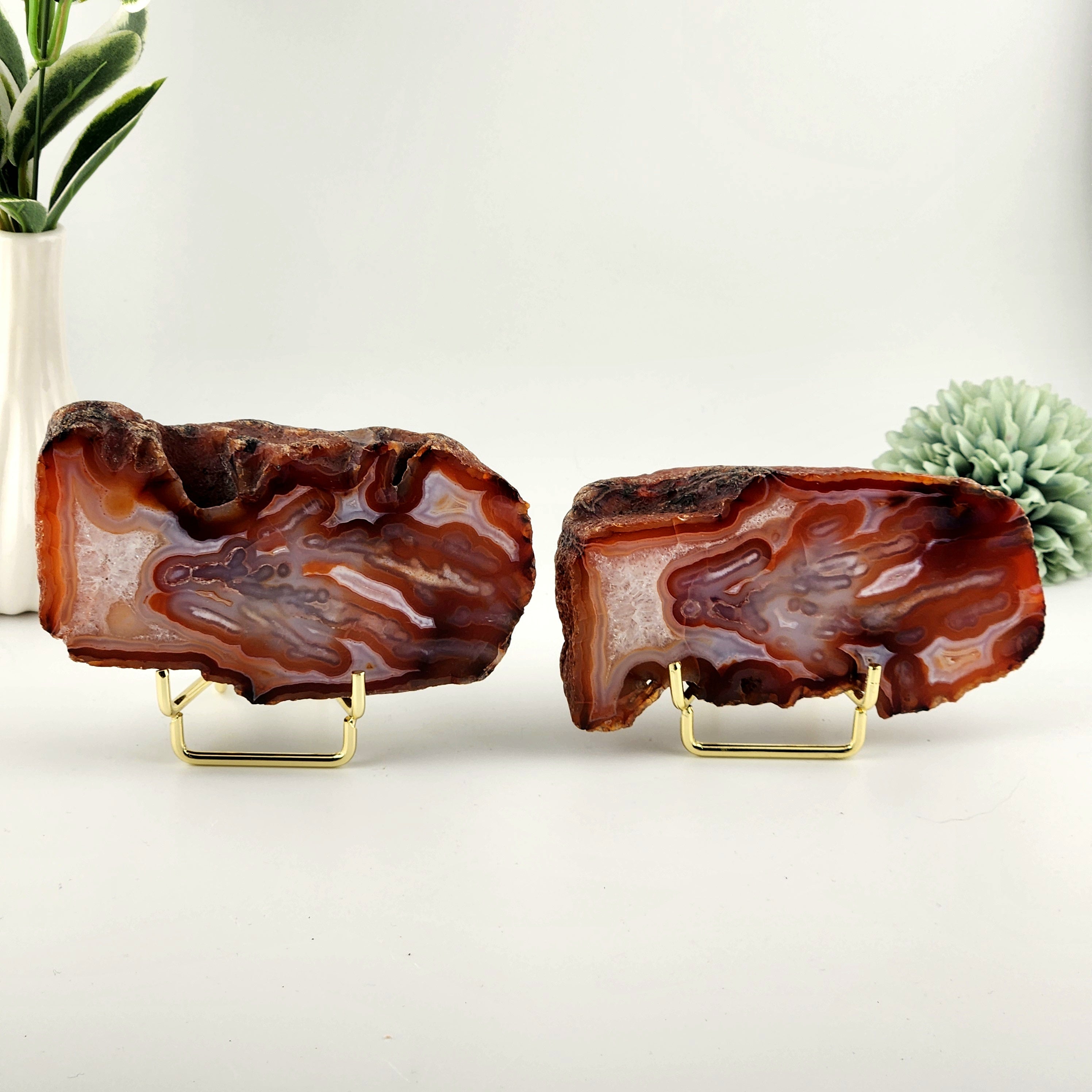 Carnelian - Red Agate Polished Geode