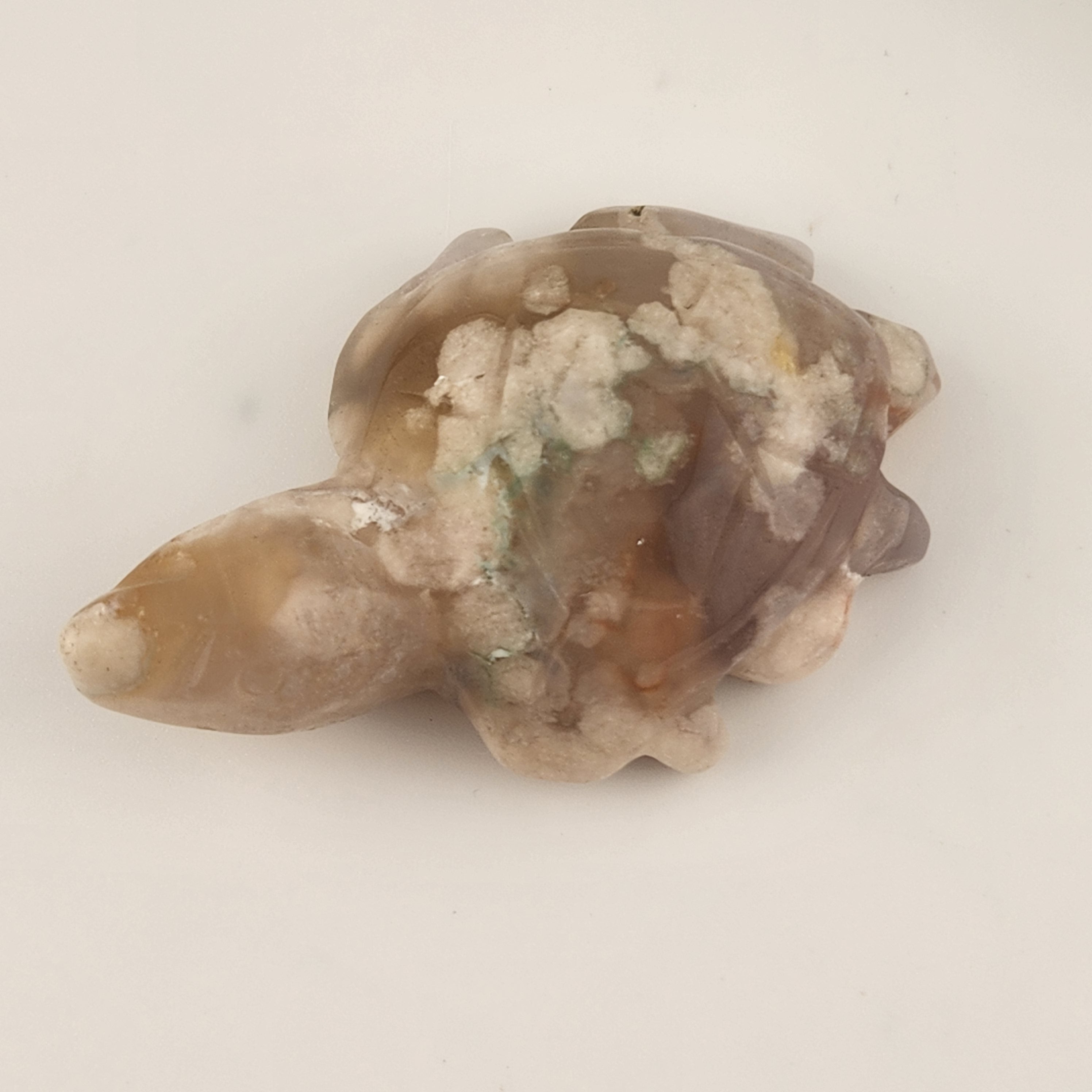 Flower Agate Turtle