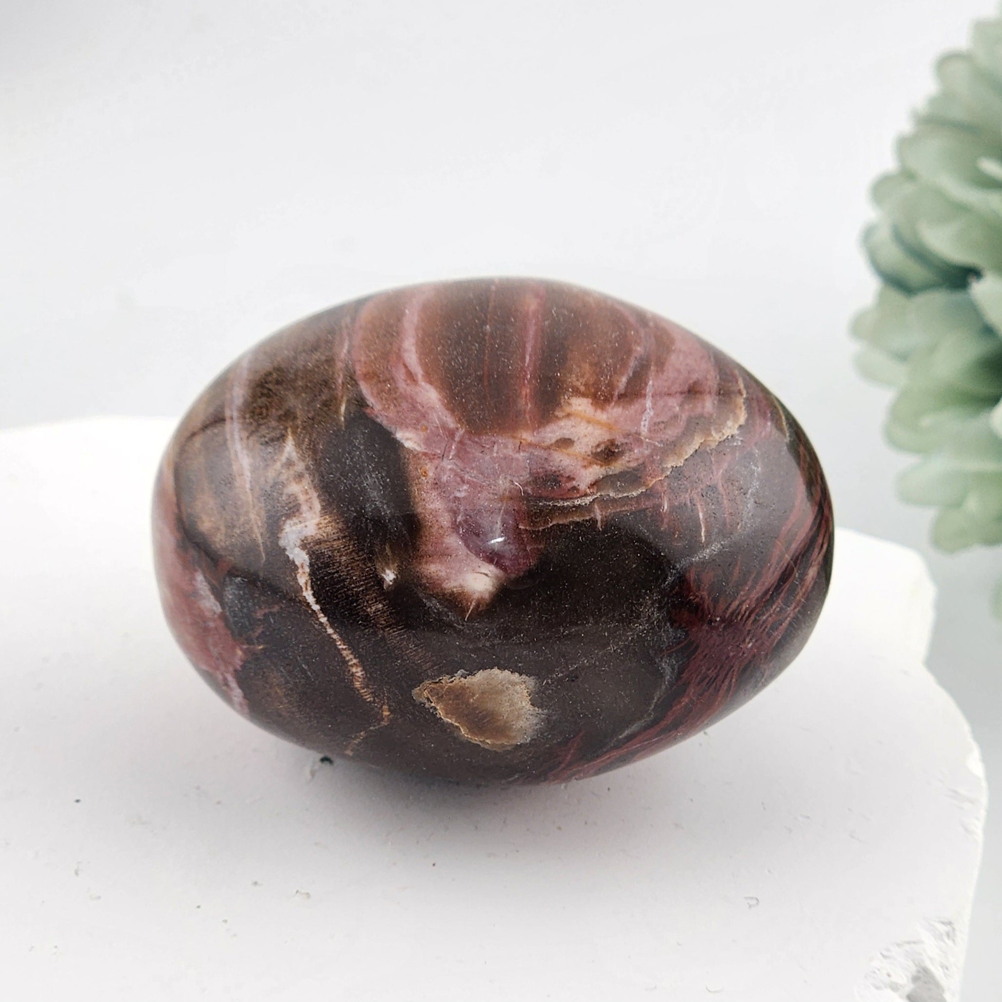 Petrified Wood Palmstone