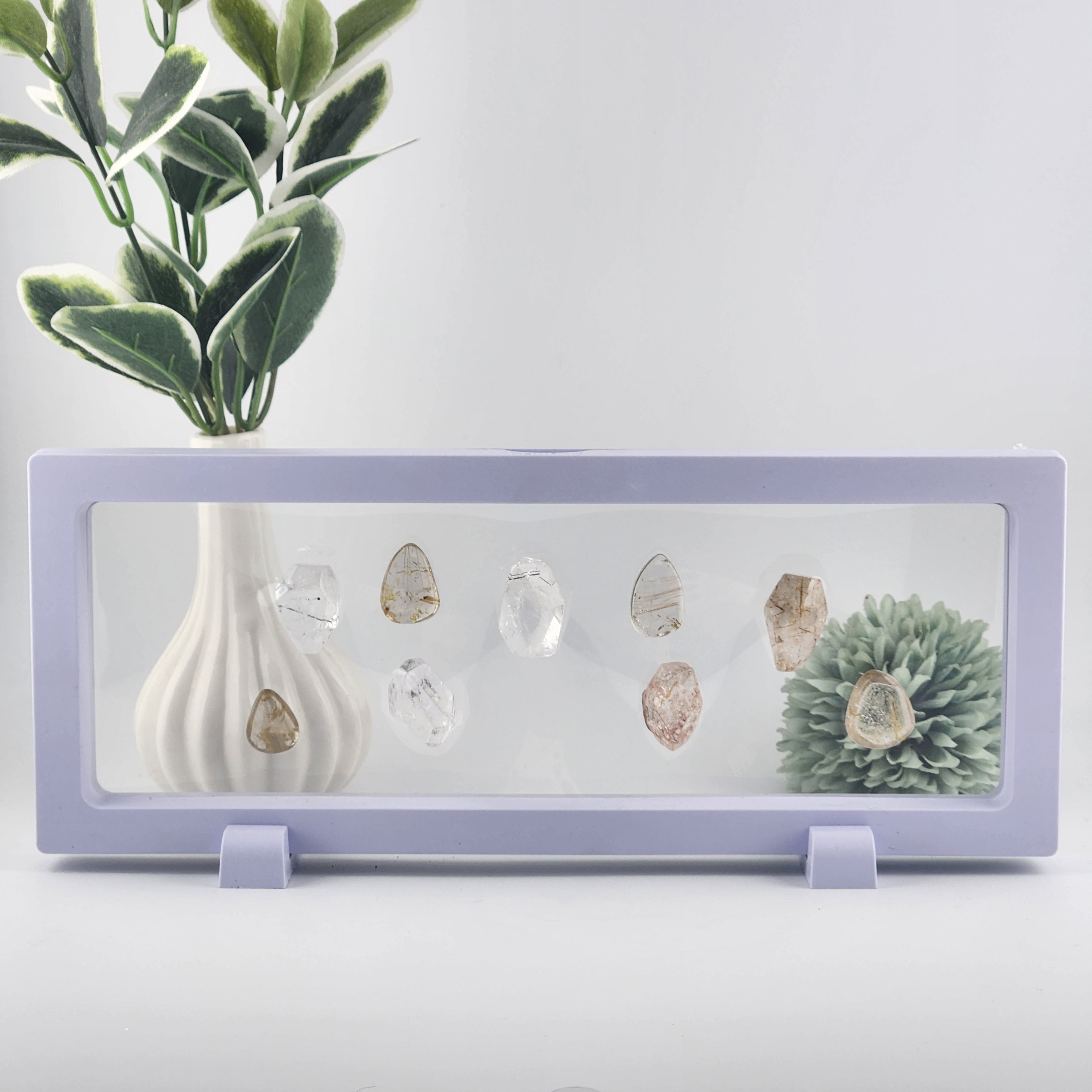 White Clearview Display Box