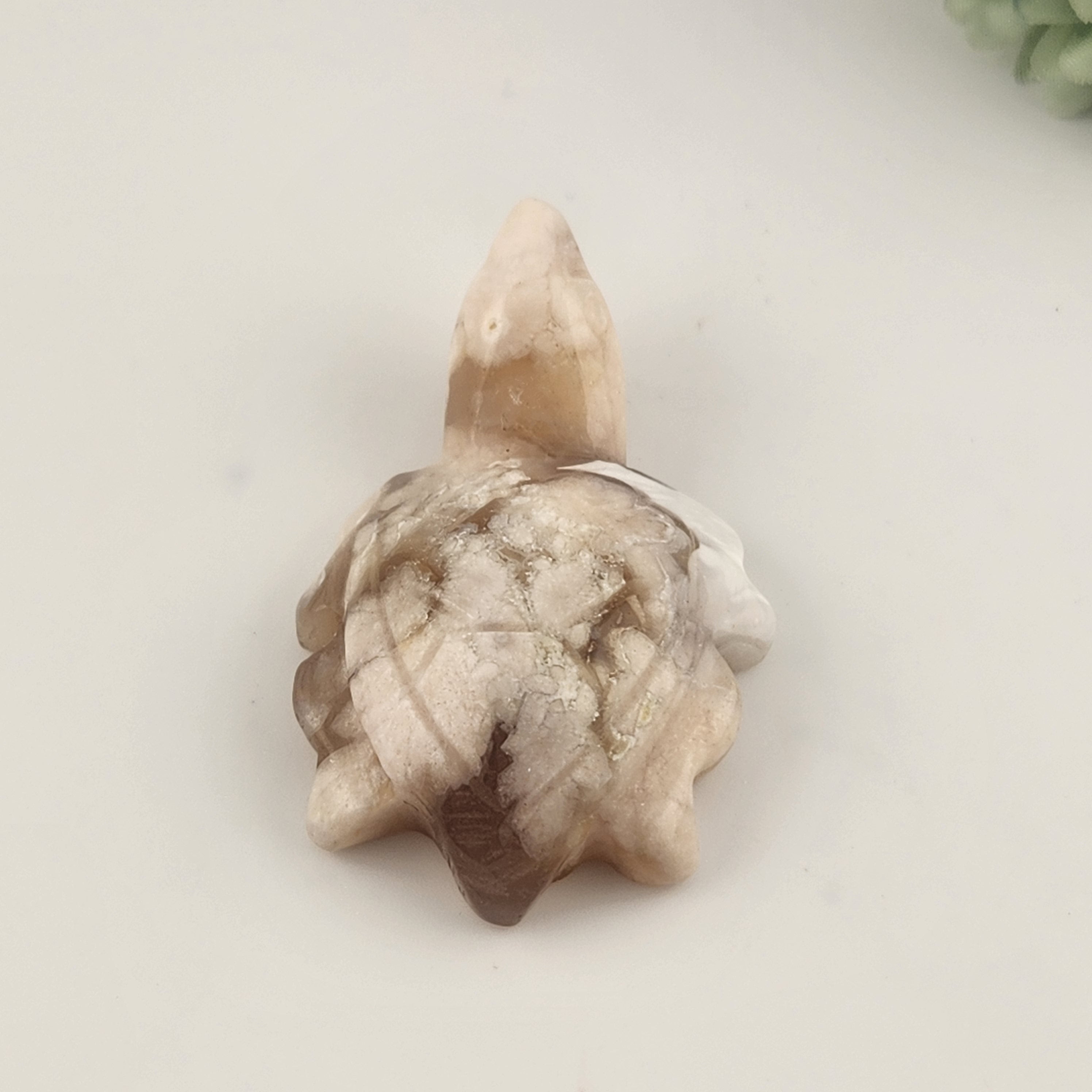Flower Agate Turtle
