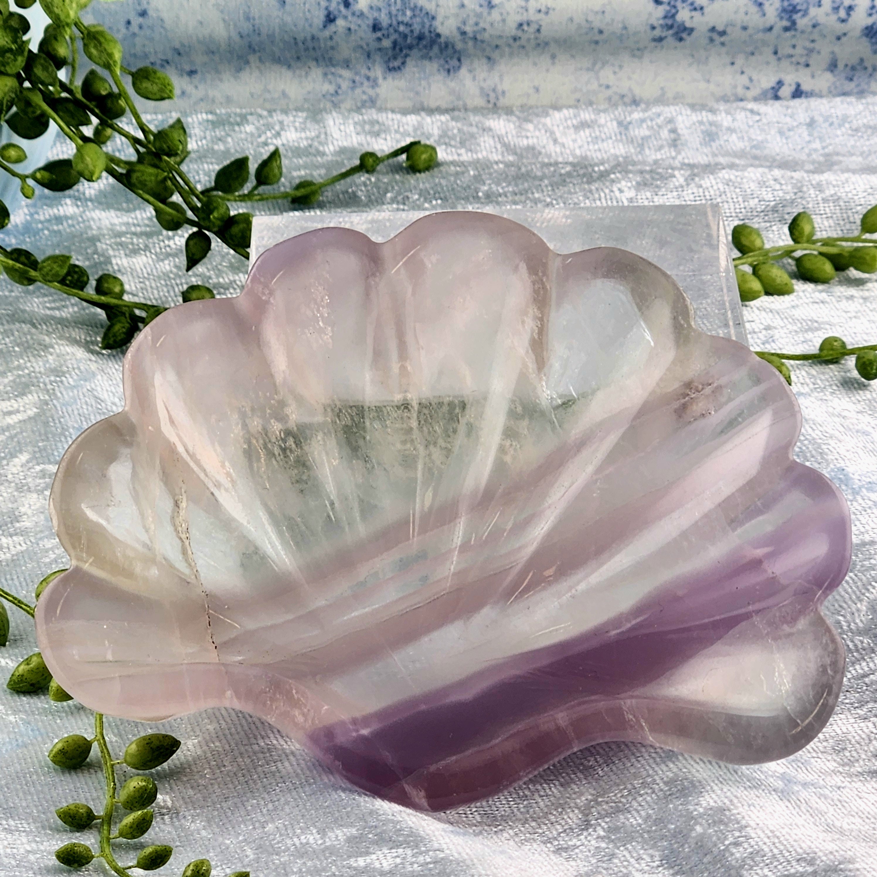 Purple Fluorite Shell Bowl