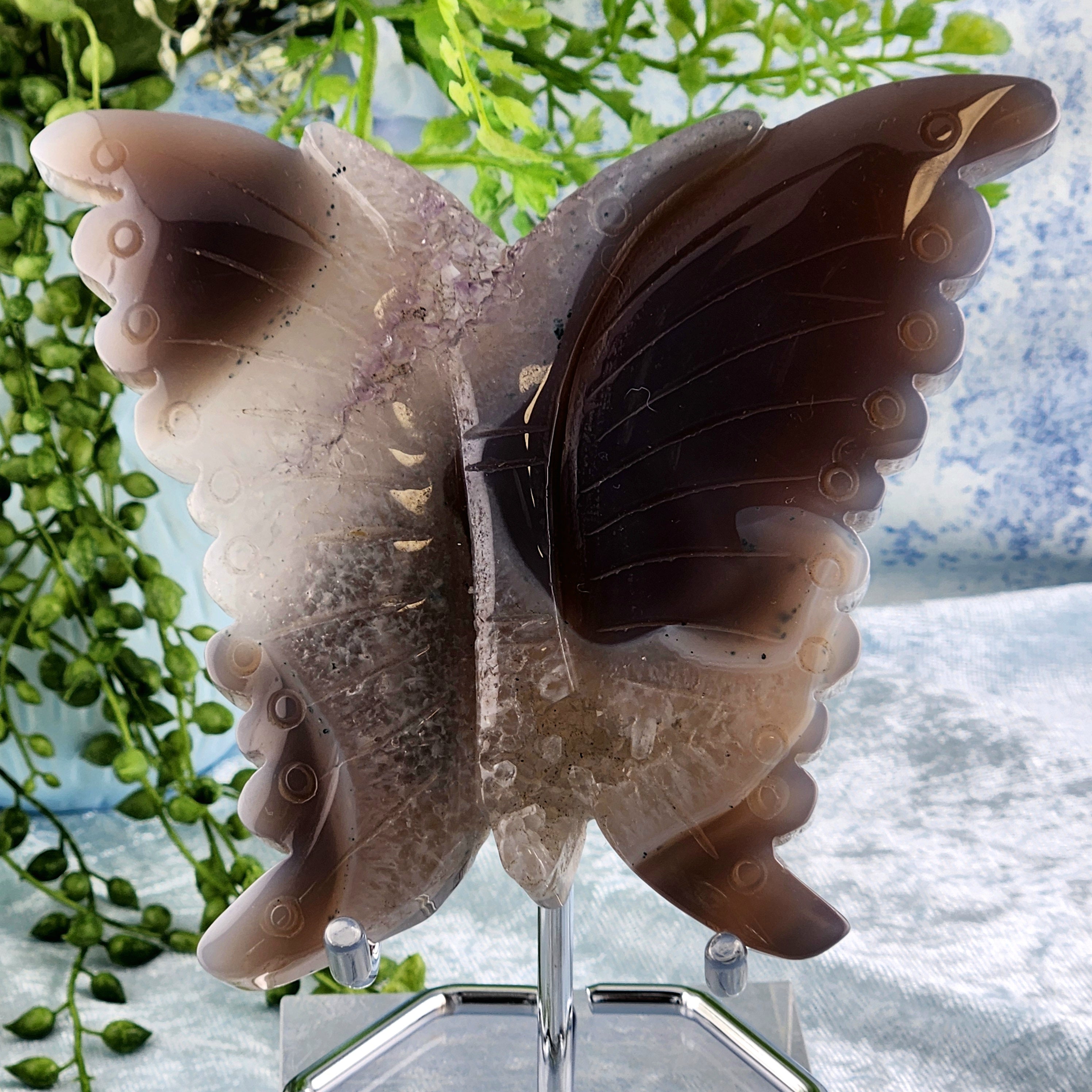 Druzy Agate Butterfly on SIlver Stand