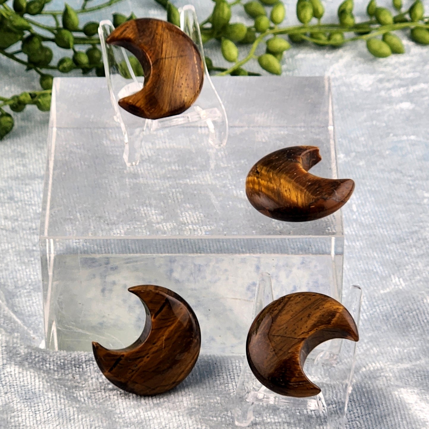 Mini Tigers Eye Moon