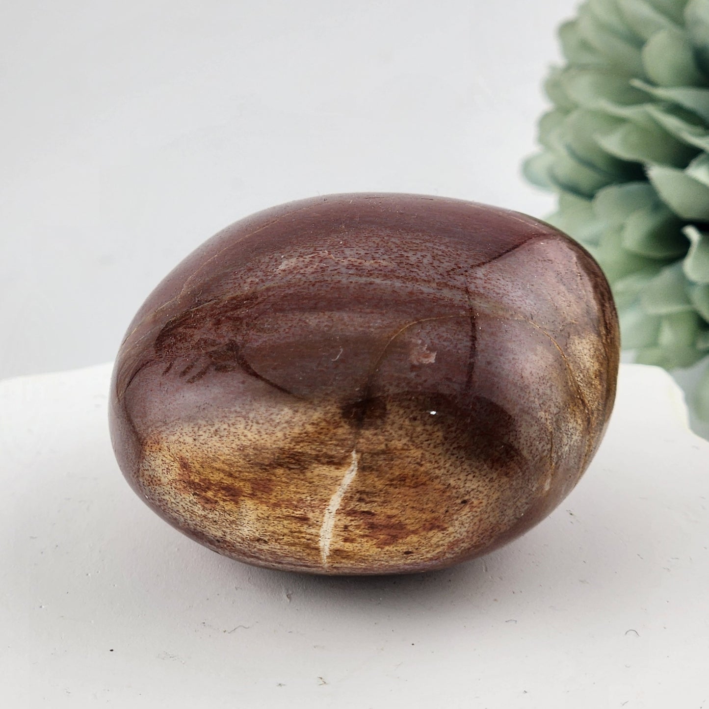 Petrified Wood Palmstone