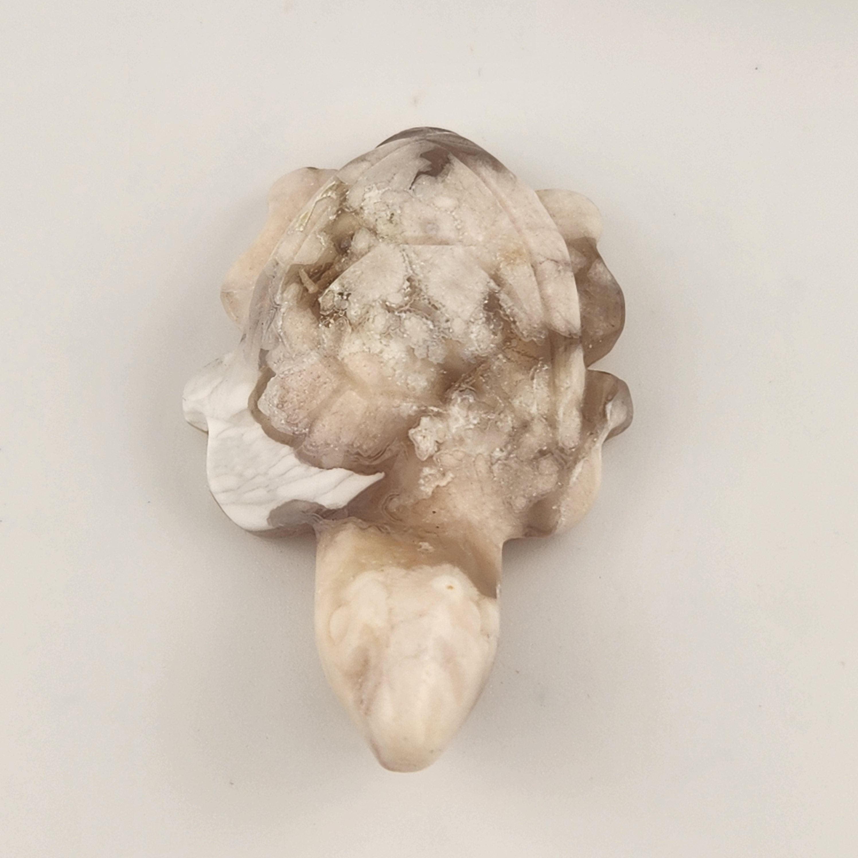 Flower Agate Turtle