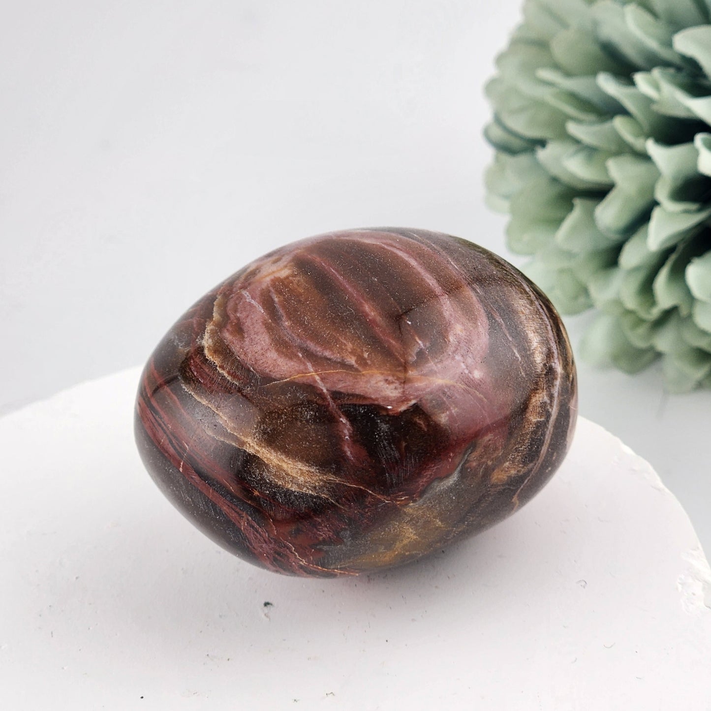 Petrified Wood Palmstone