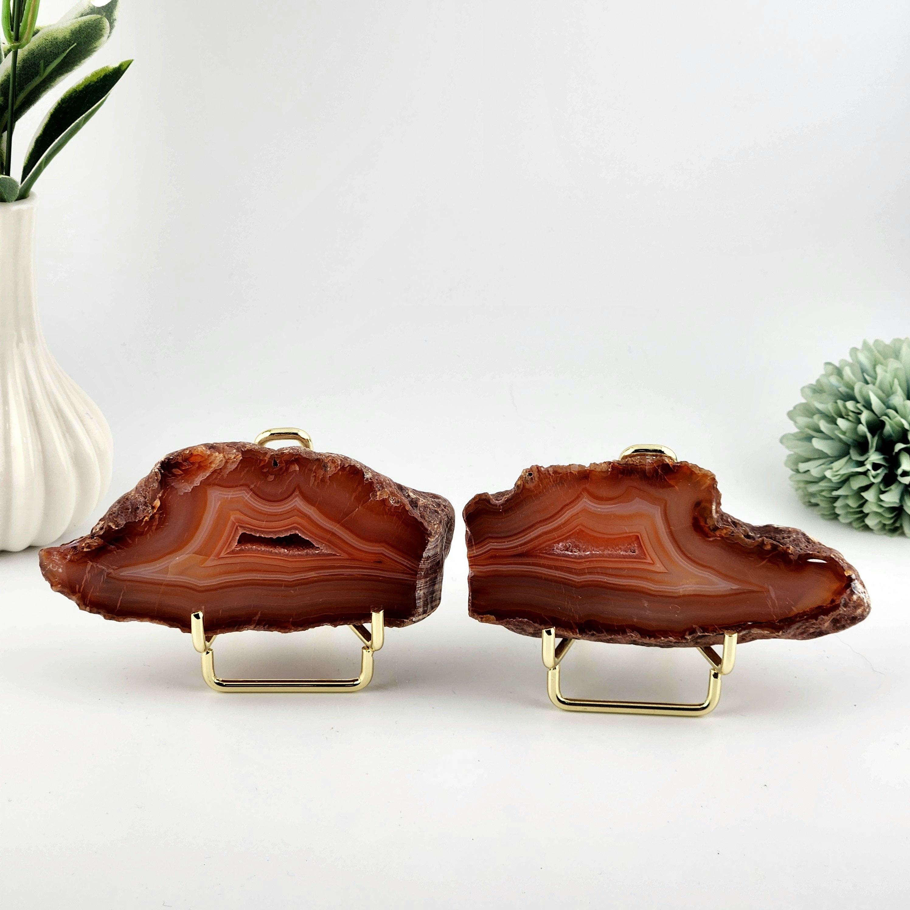 Carnelian - Red Agate Polished Geode Slab Pair