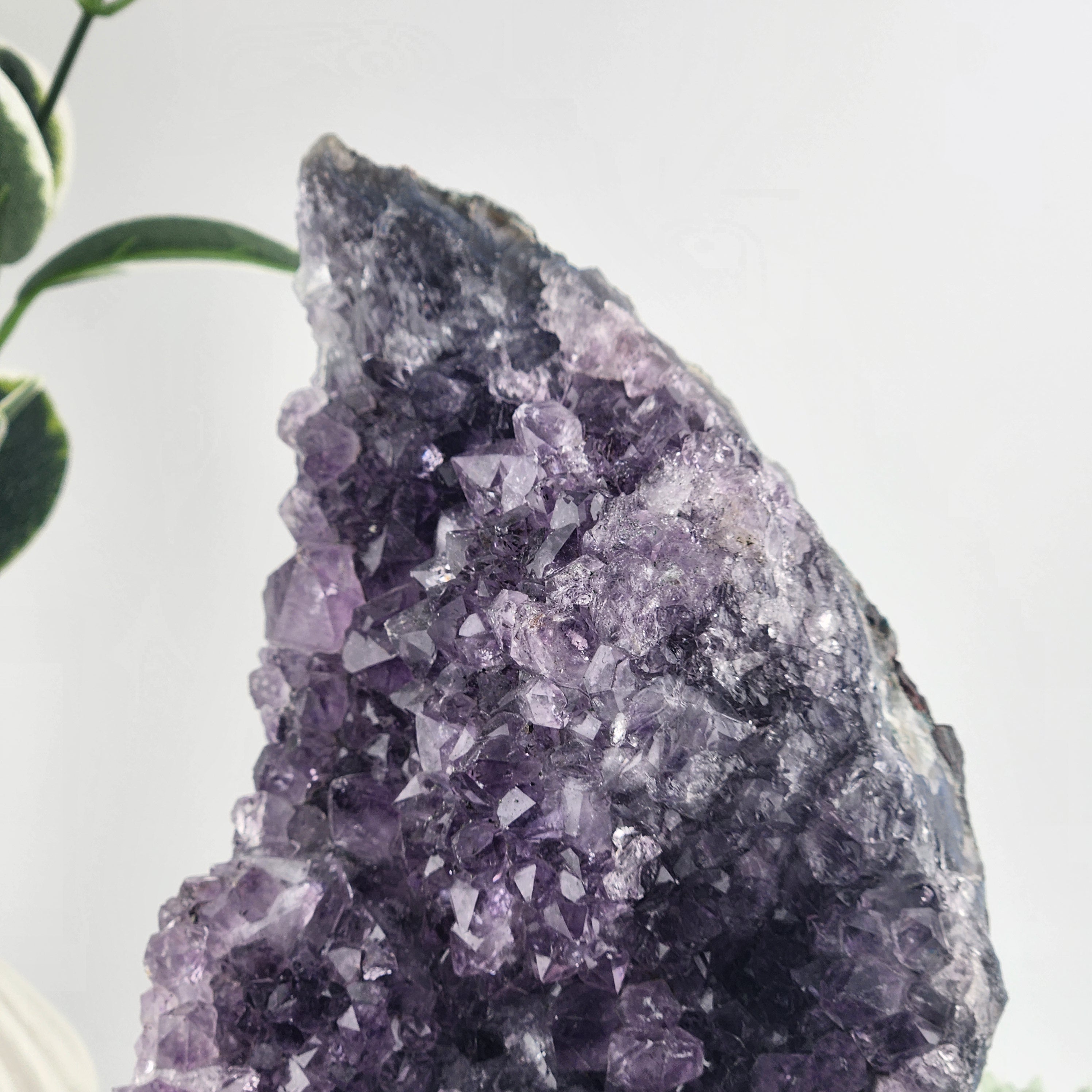 Amethyst Cluster