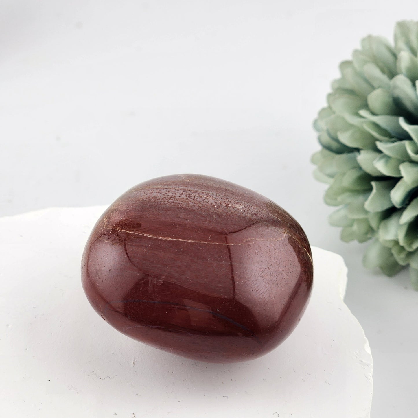 Petrified Wood Palmstone