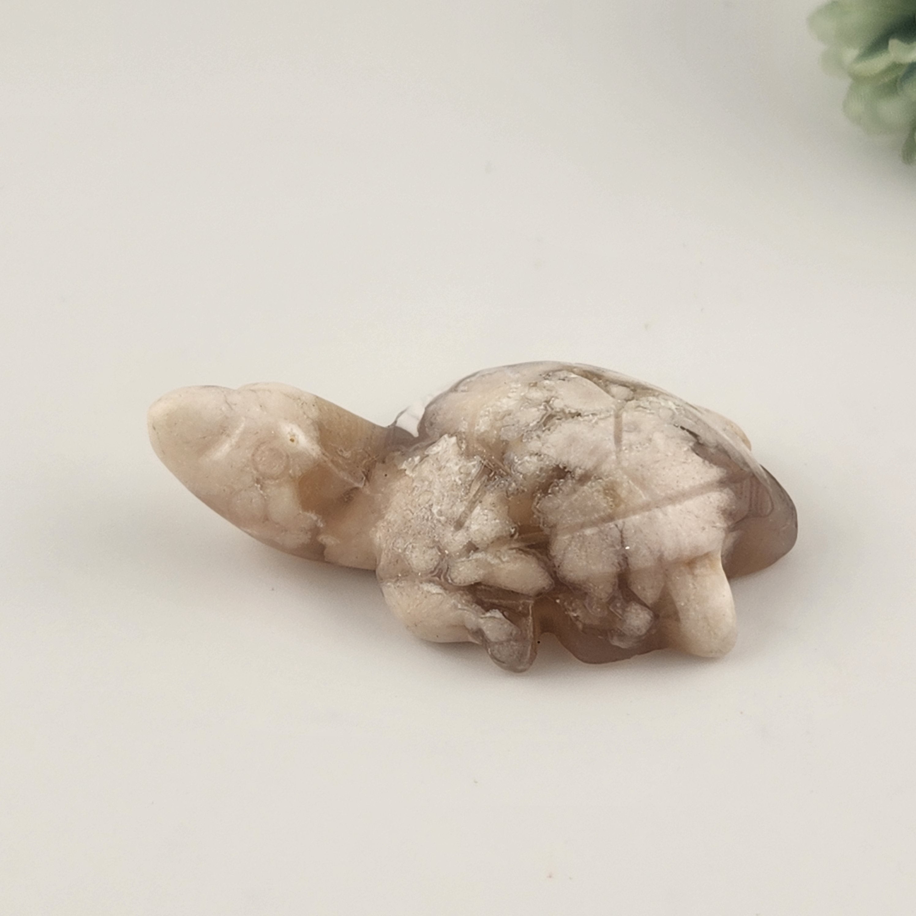 Flower Agate Turtle