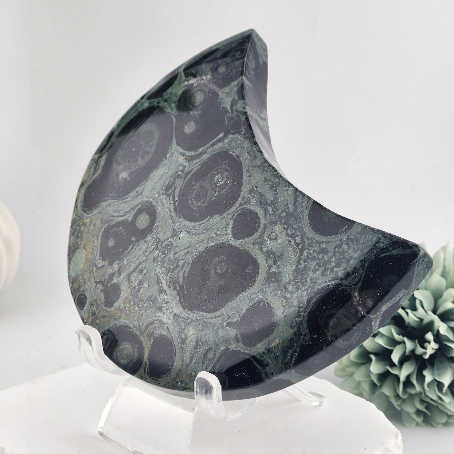Kambaba Jasper Moon