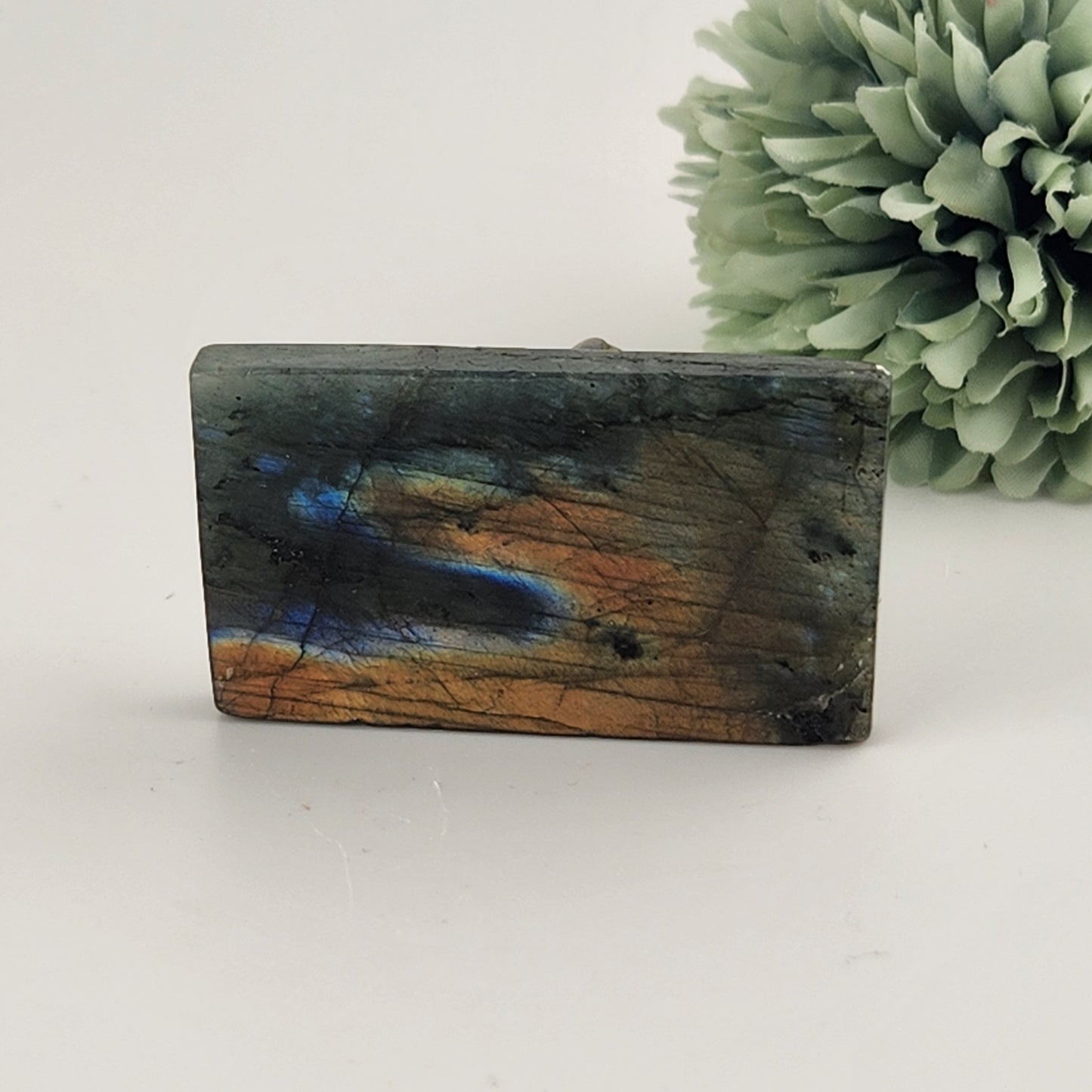 Labradorite Wolf