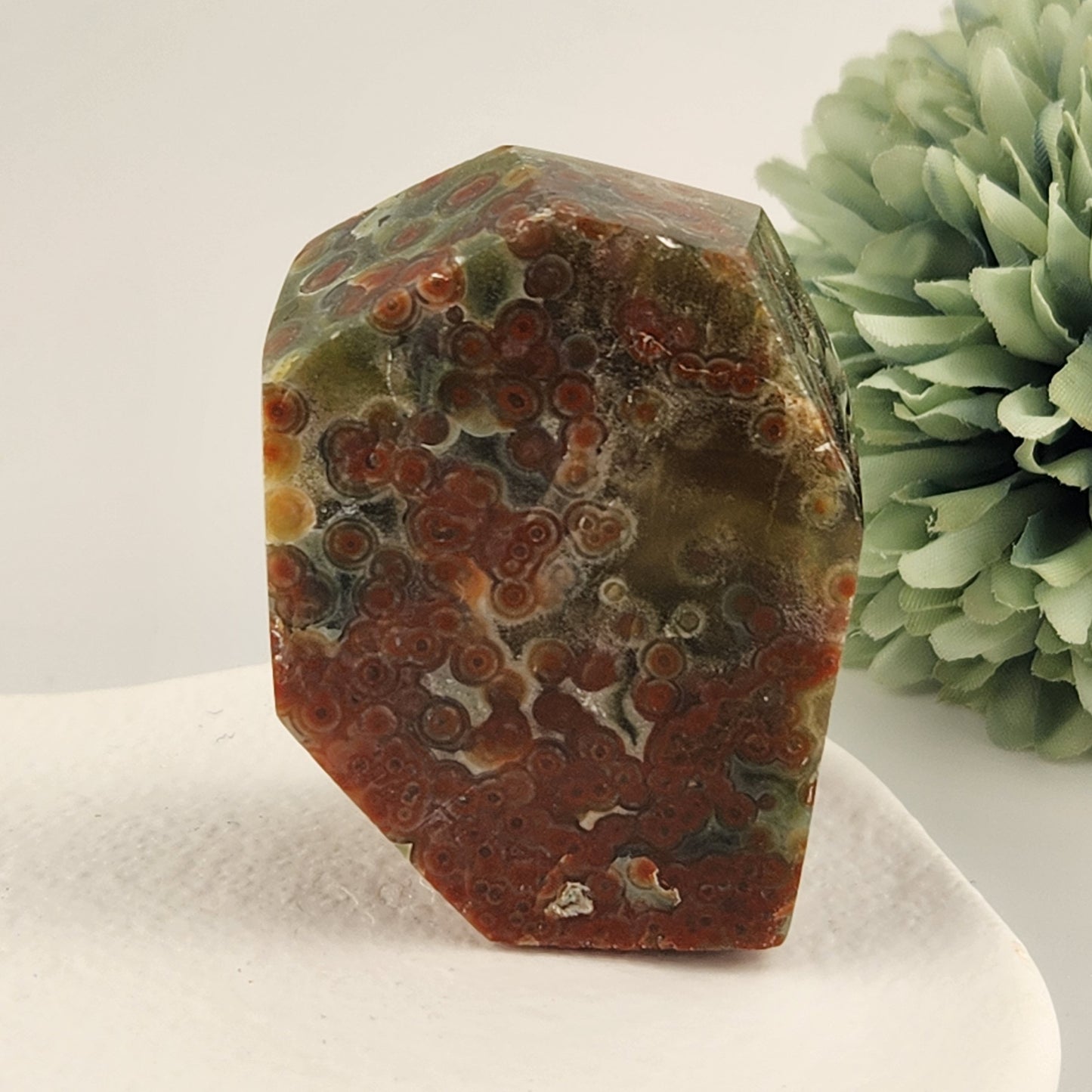 Orbicular Jasper Freeform