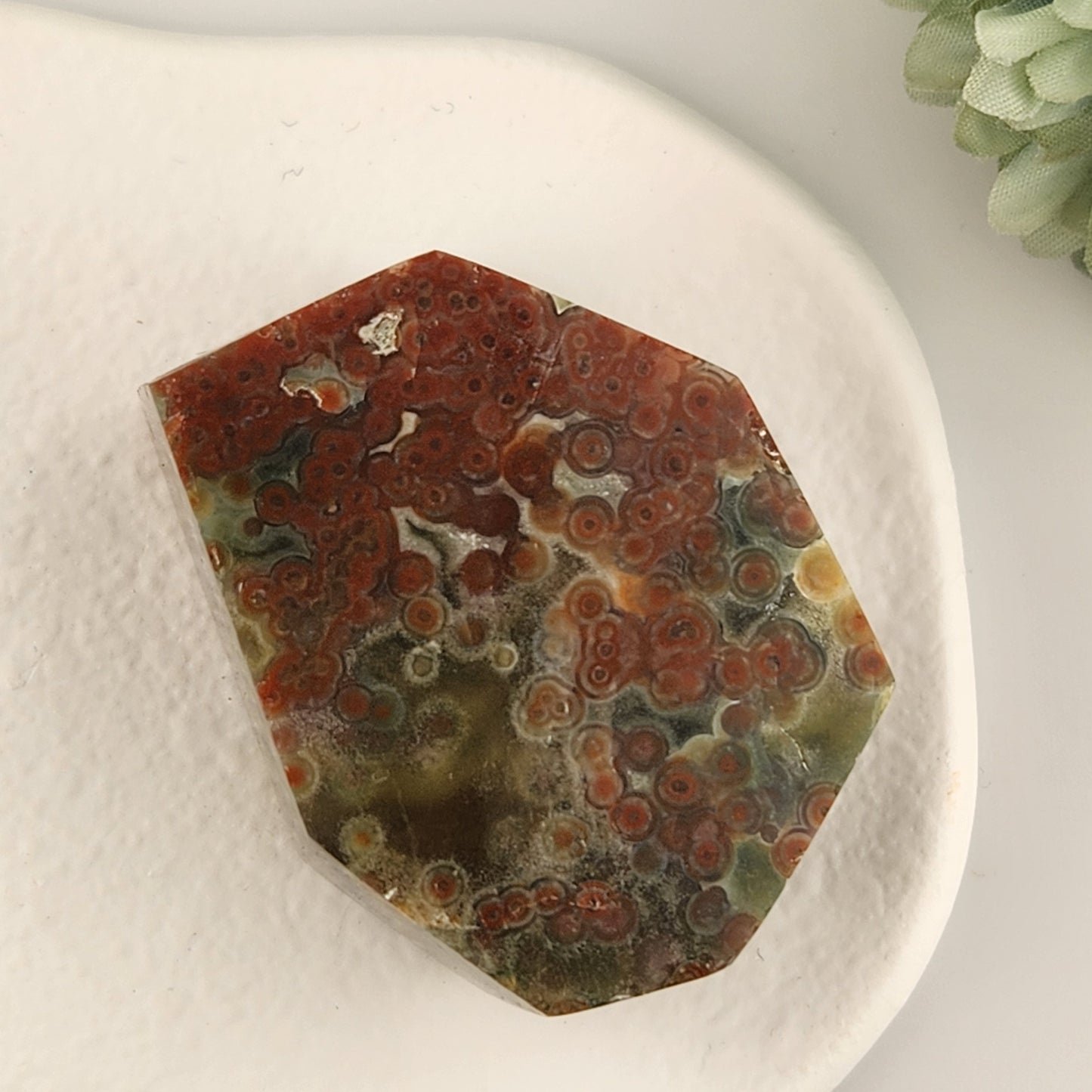 Orbicular Jasper Freeform