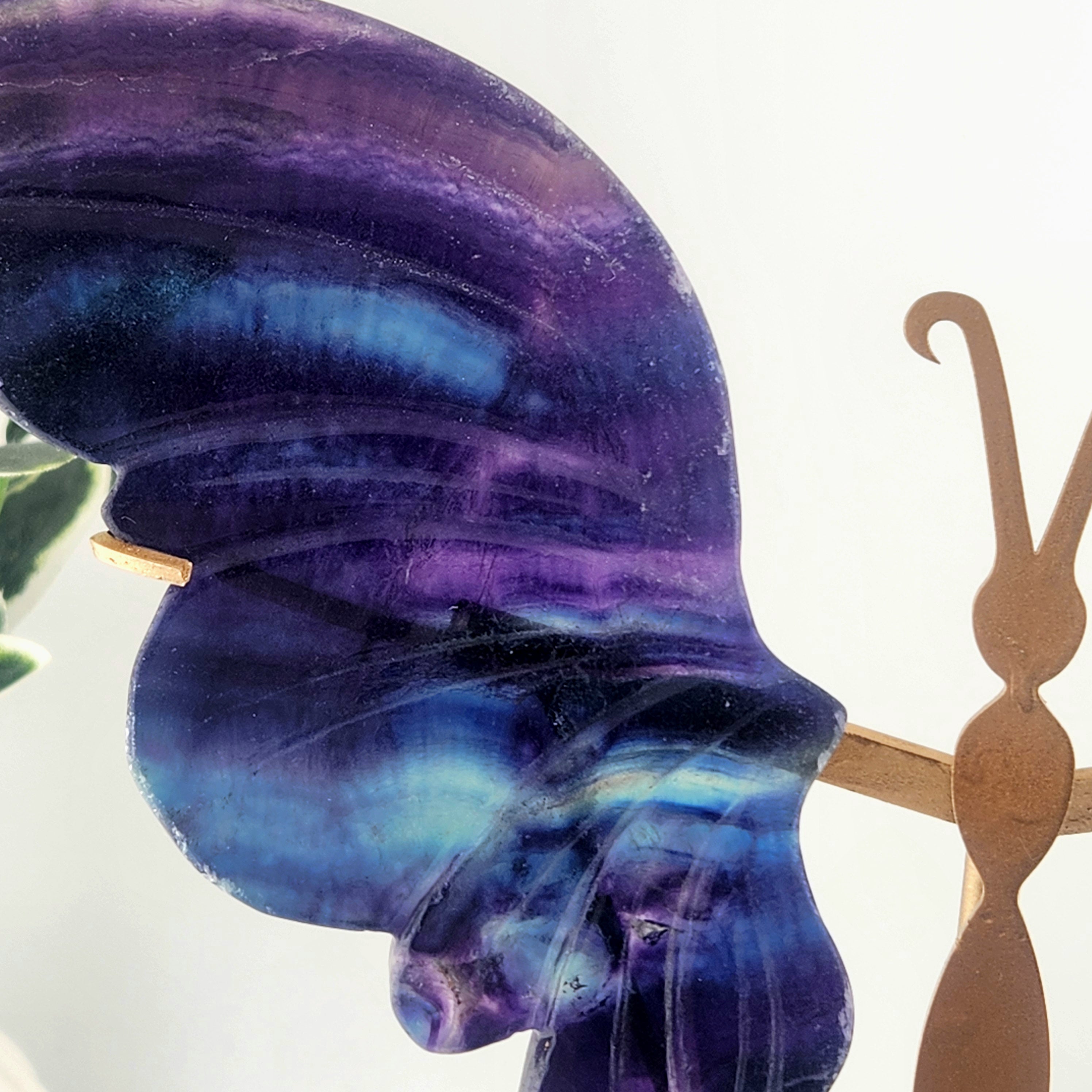 Fluorite Butterfly Wings On Custom Gold Stand
