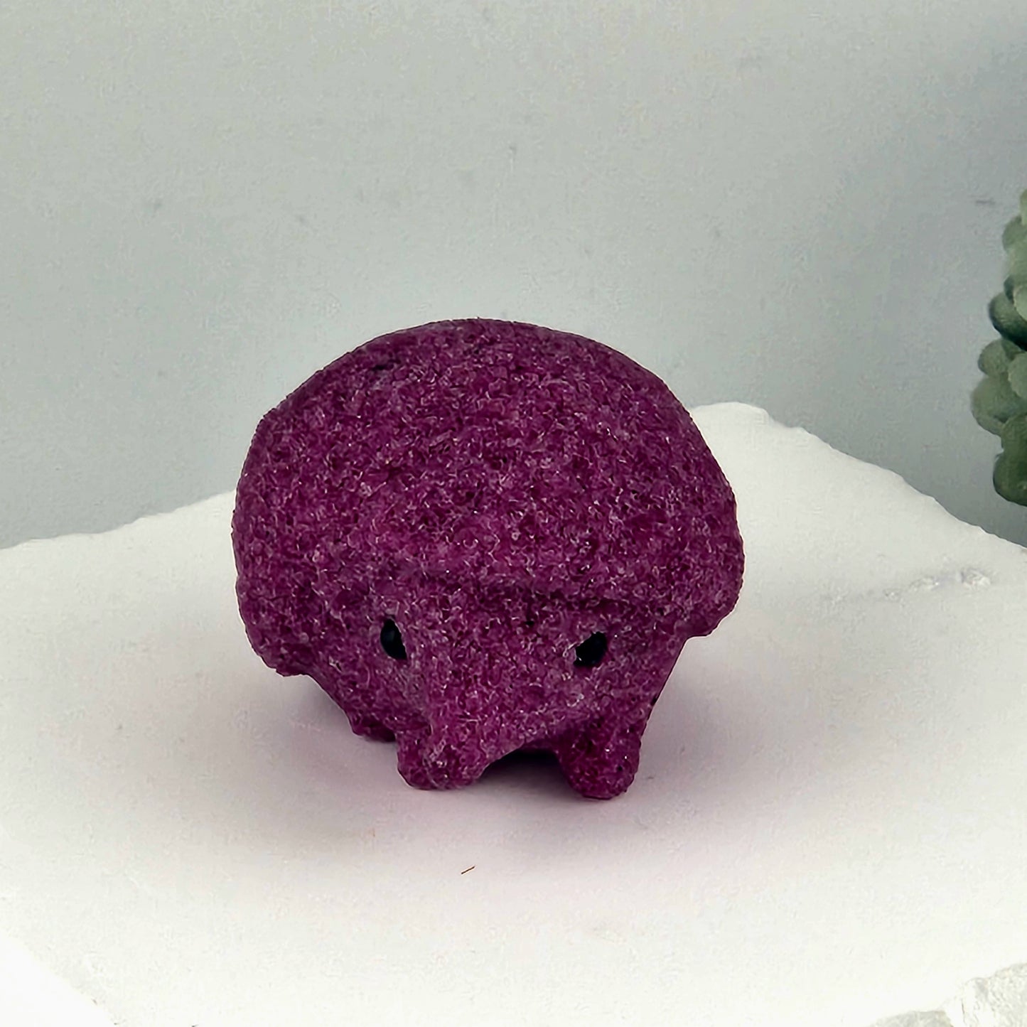 Honey Ruby Hedgehog