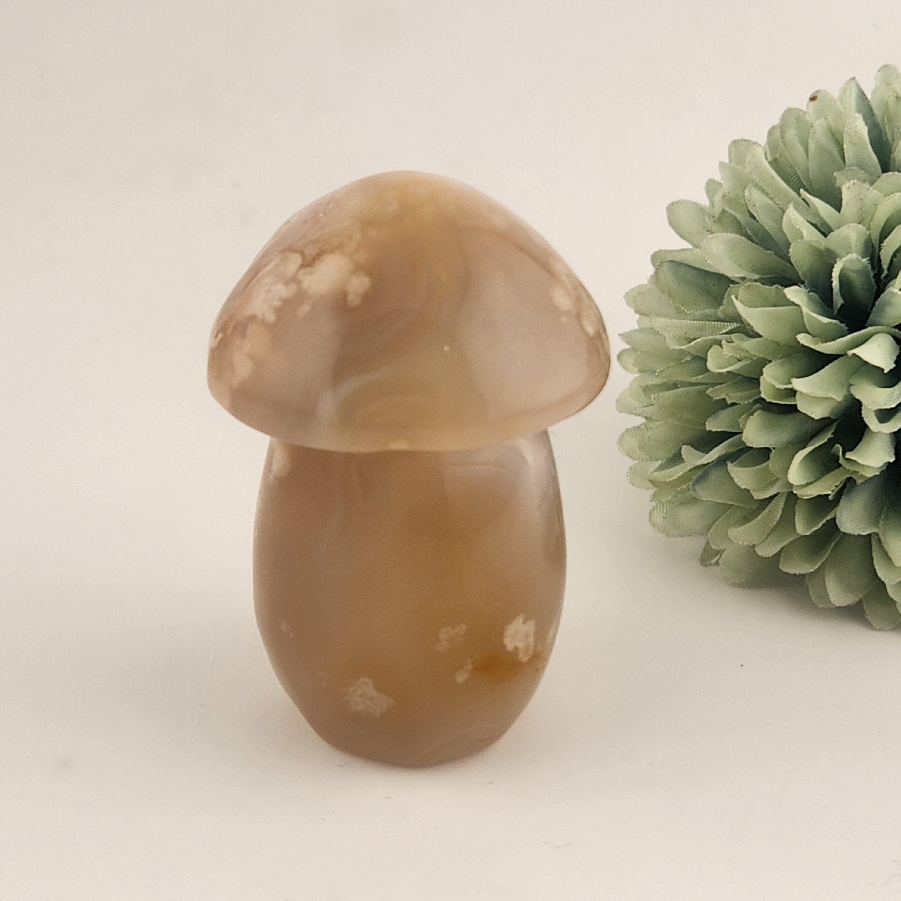 Flower Agate Mushroom