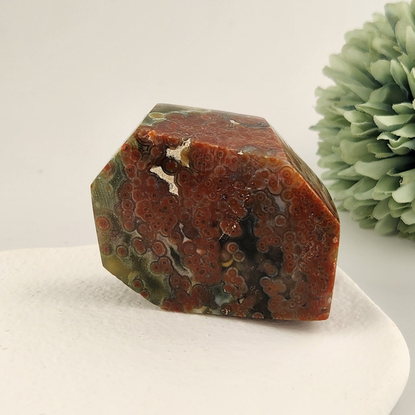 Orbicular Jasper Freeform