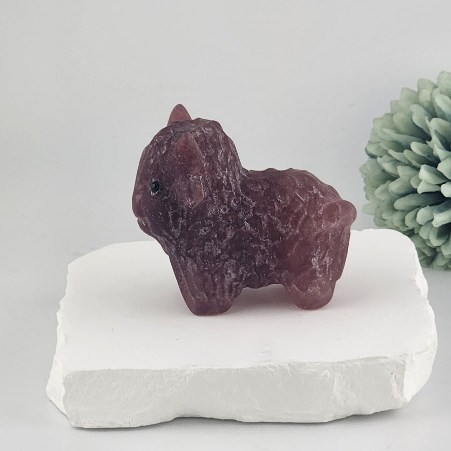 Strawberry Quart Highland Cow