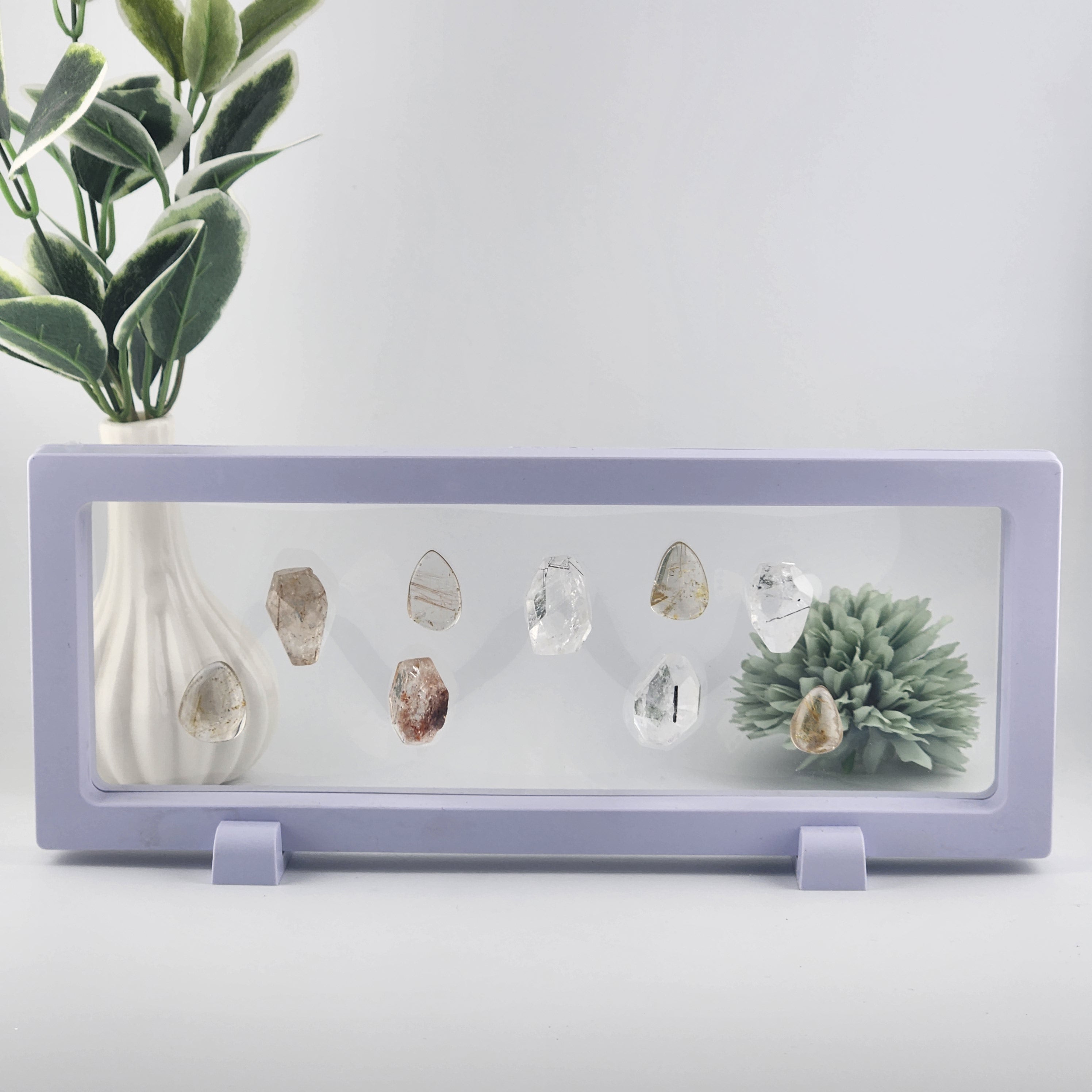 White Clearview Display Box