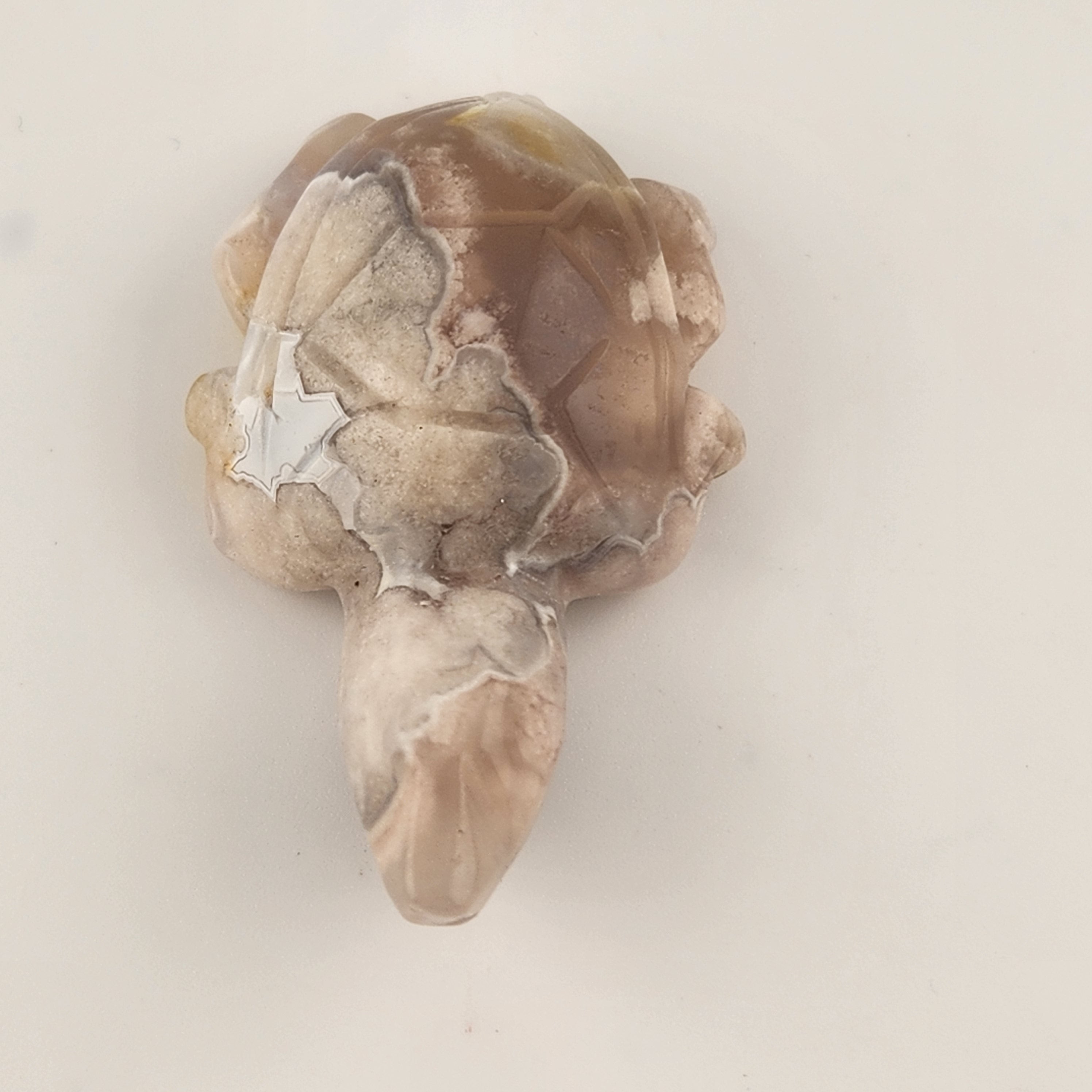 Flower Agate Turtle