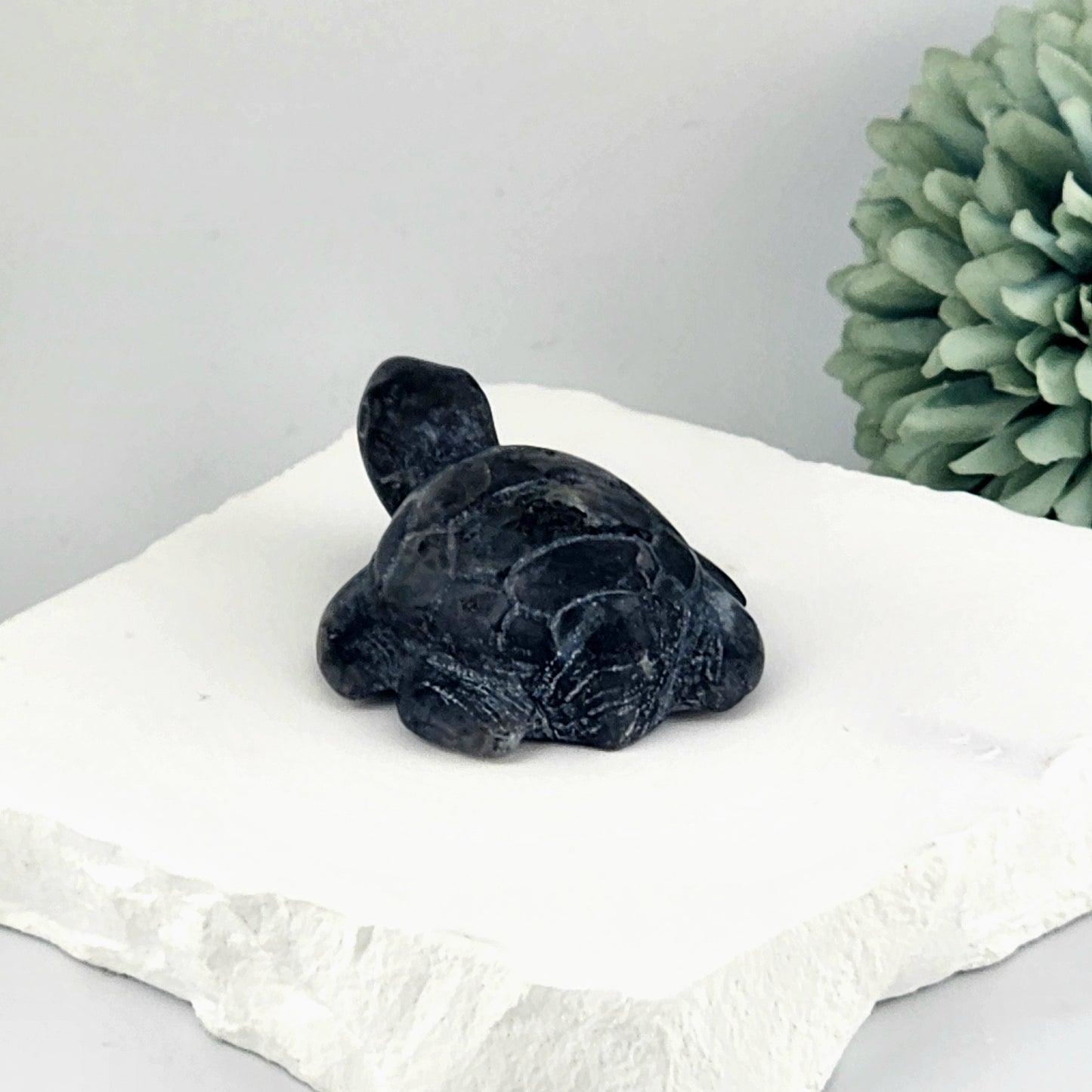 Sodalite Turtle