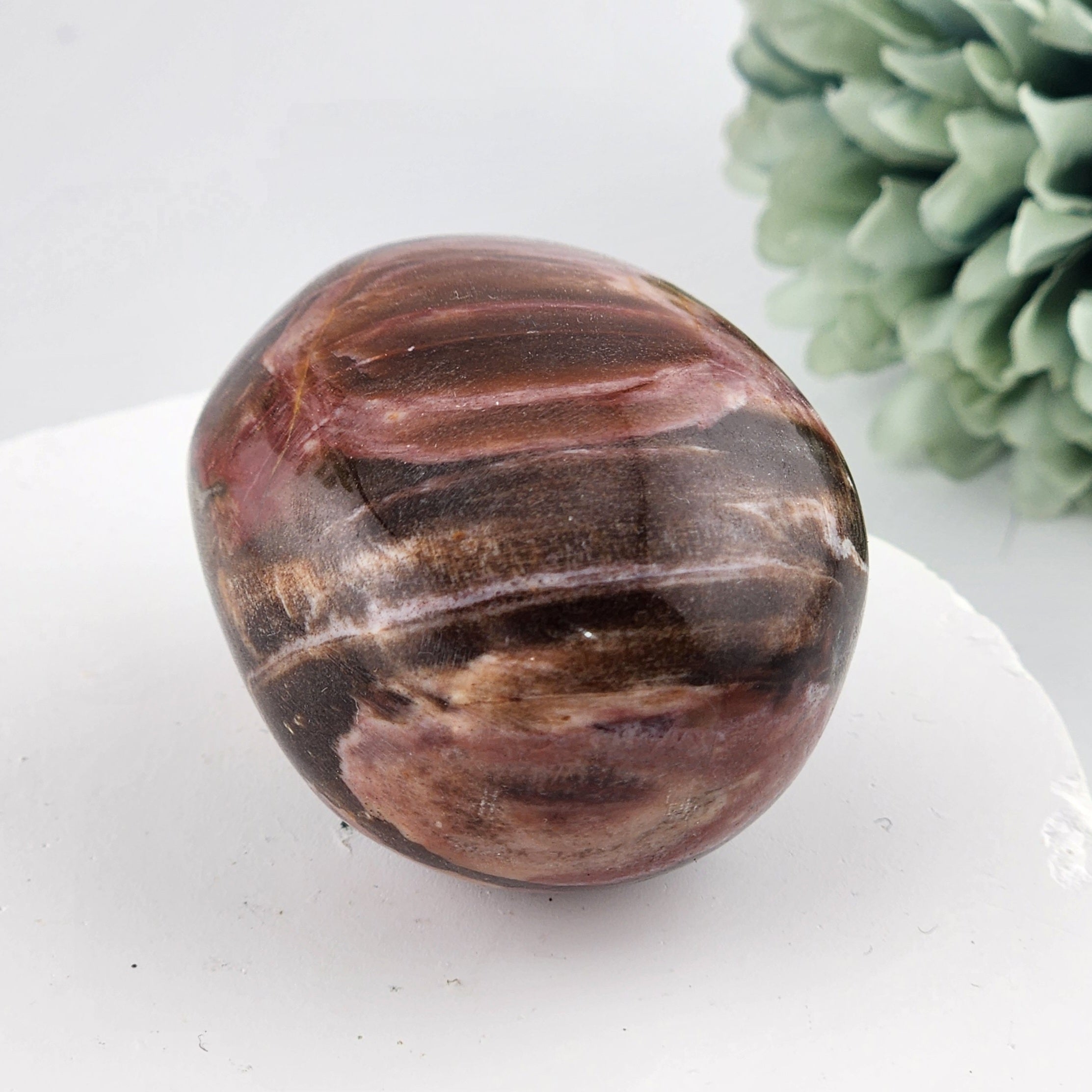 Petrified Wood Palmstone