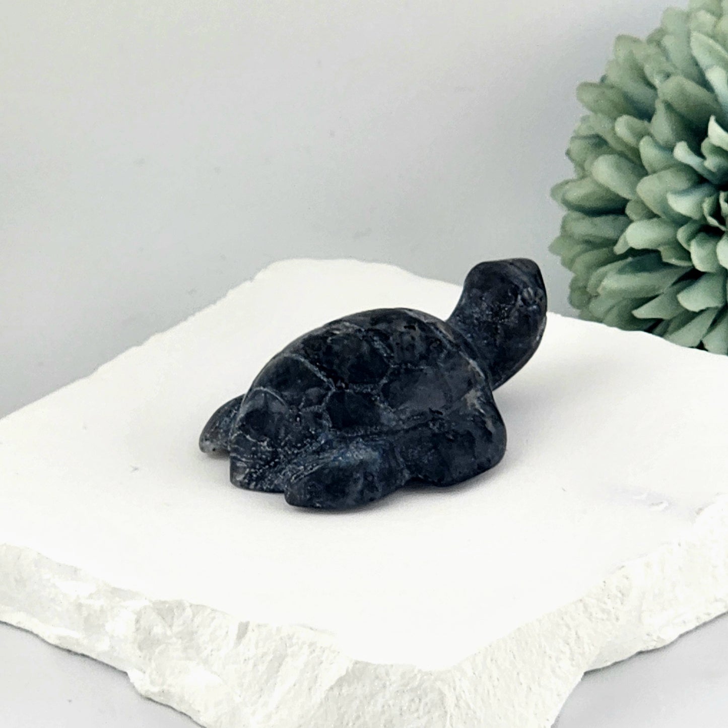Sodalite Turtle