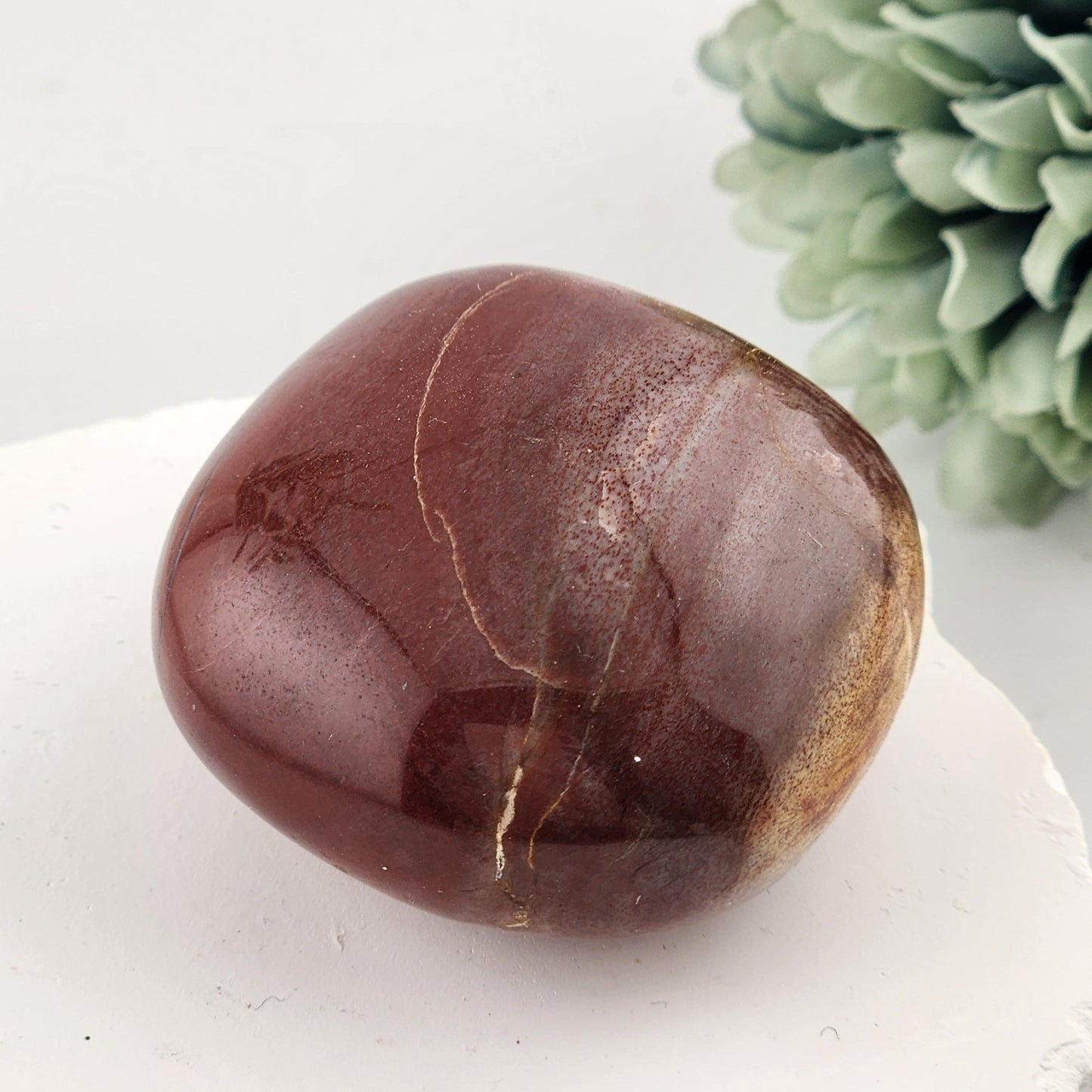 Petrified Wood Palmstone