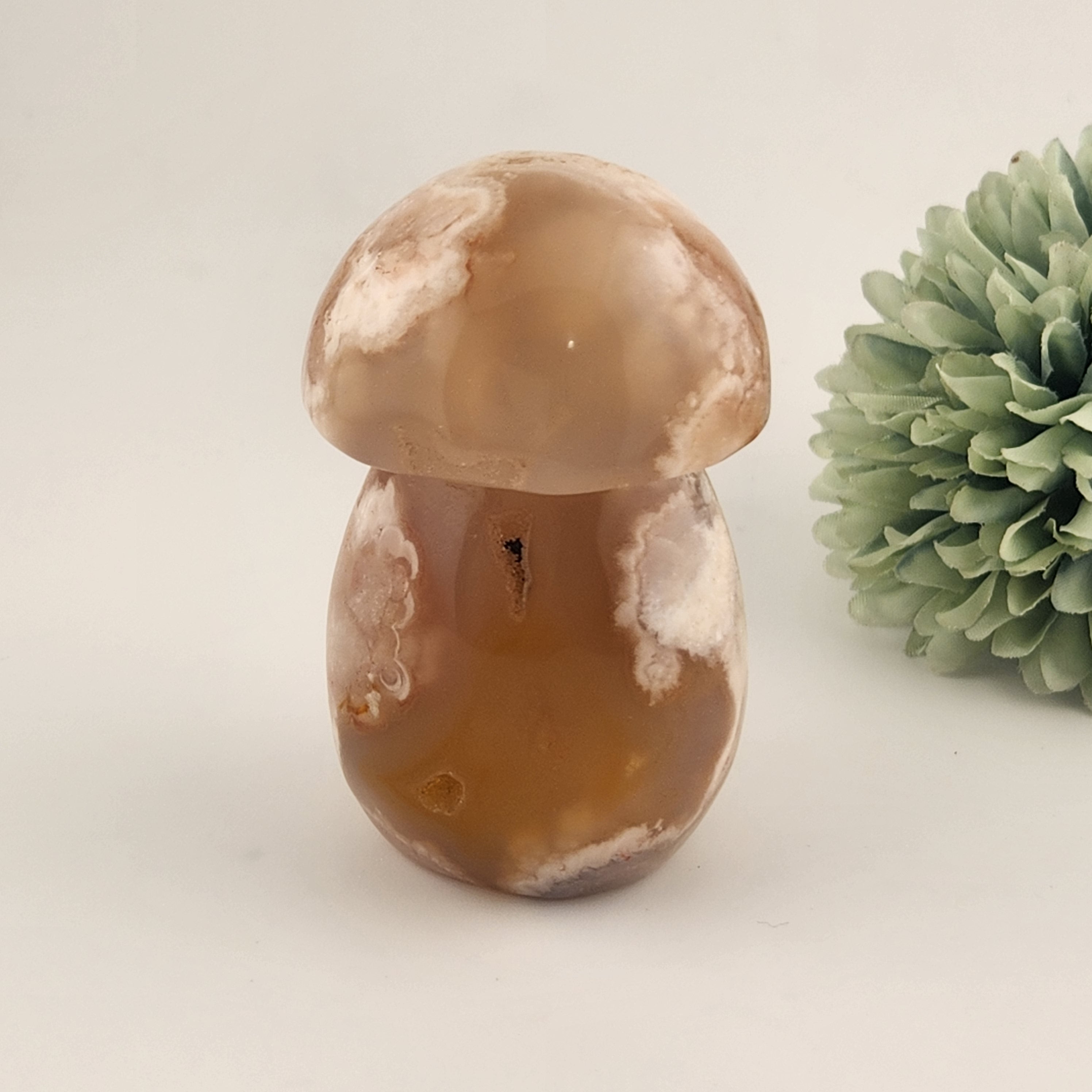 Flower Agate Mushroom