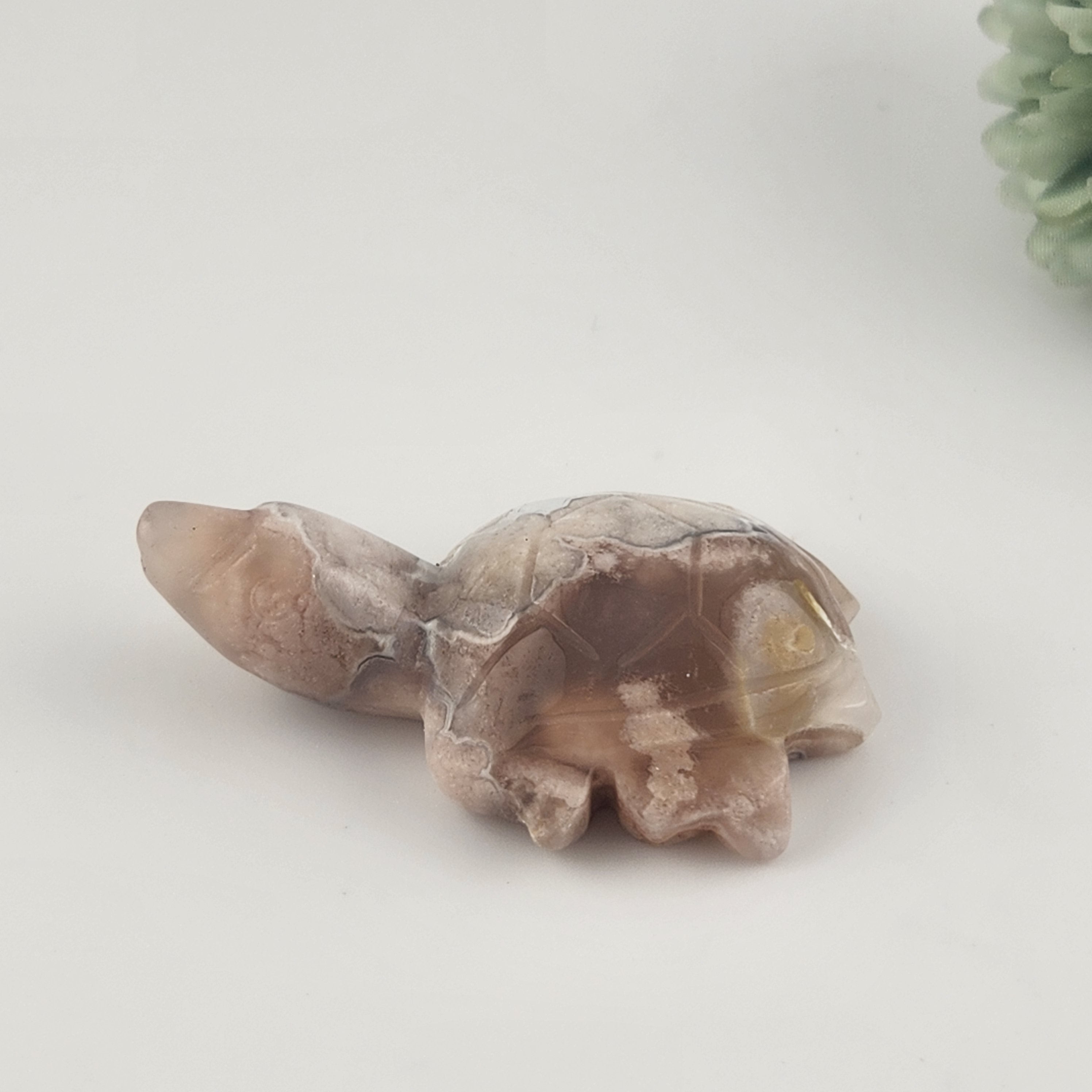 Flower Agate Turtle