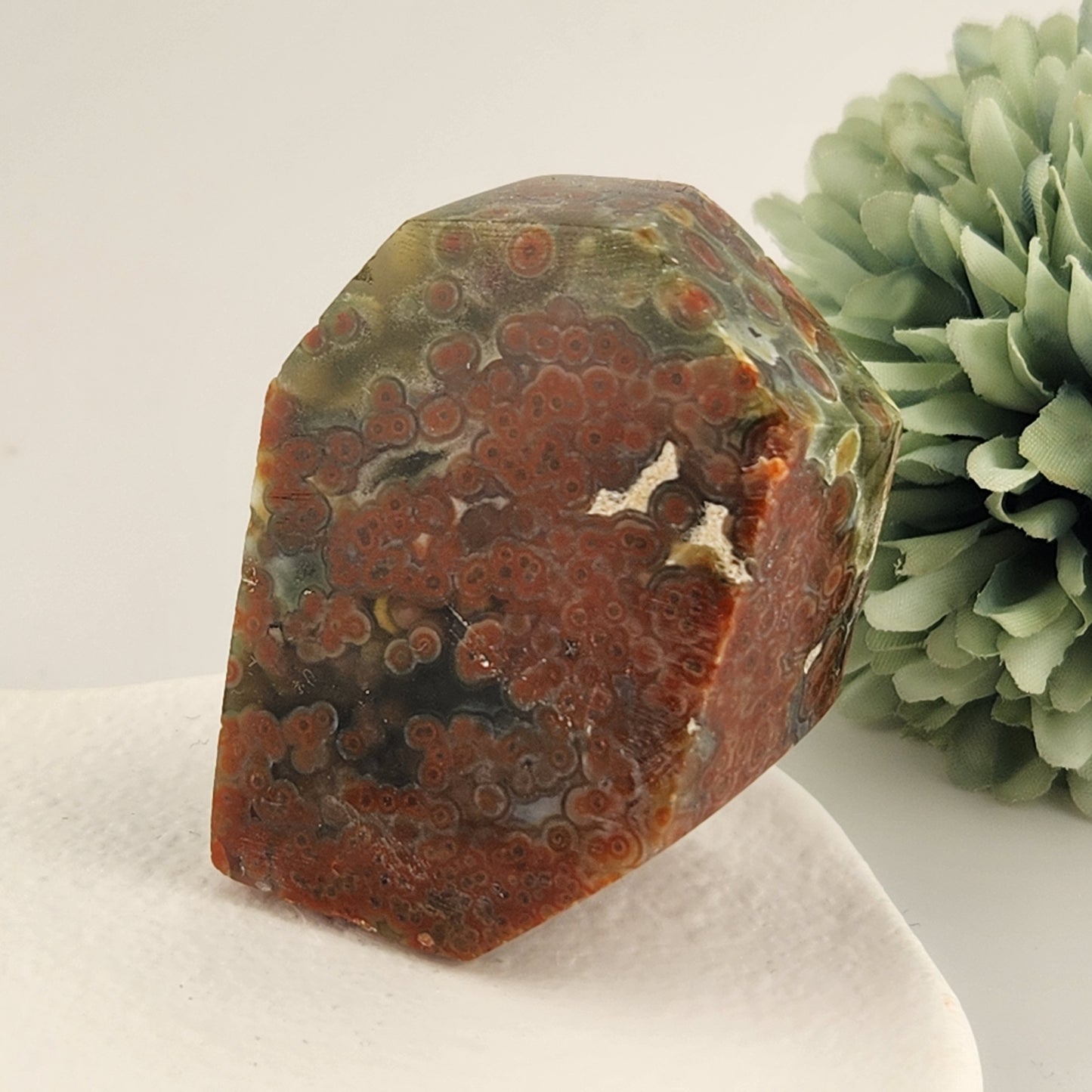 Orbicular Jasper Freeform