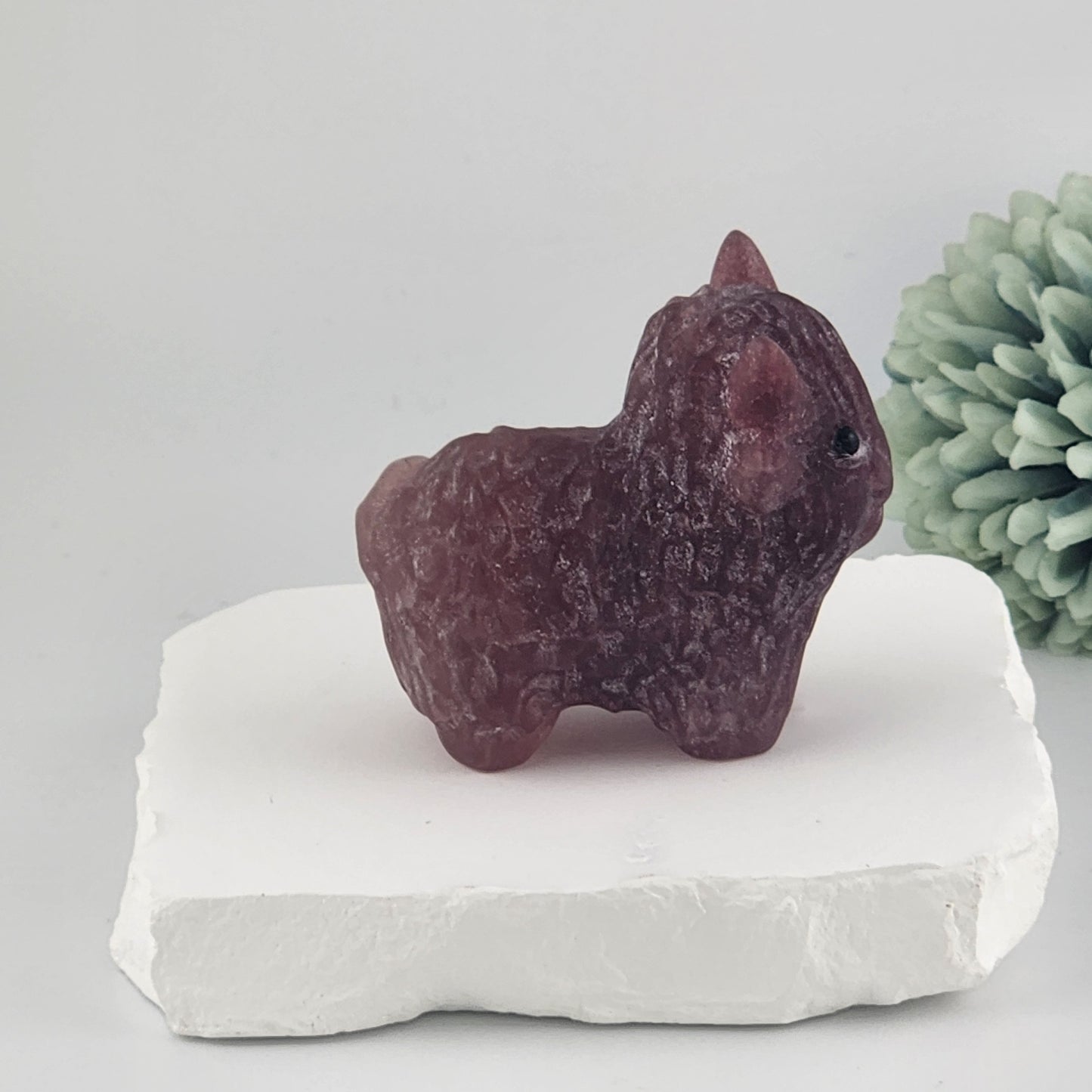 Strawberry Quart Highland Cow