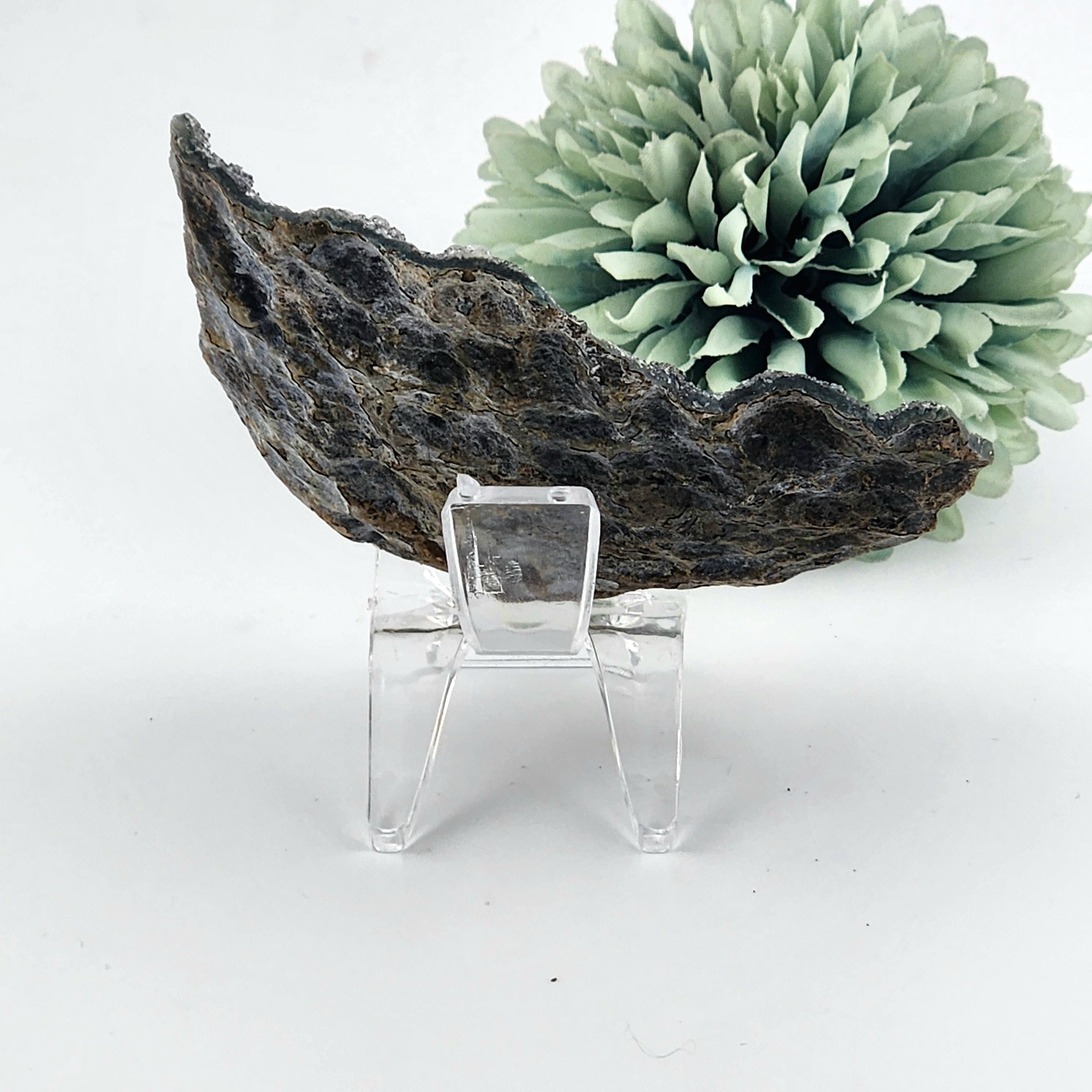 Rainbow-Black Amethyst