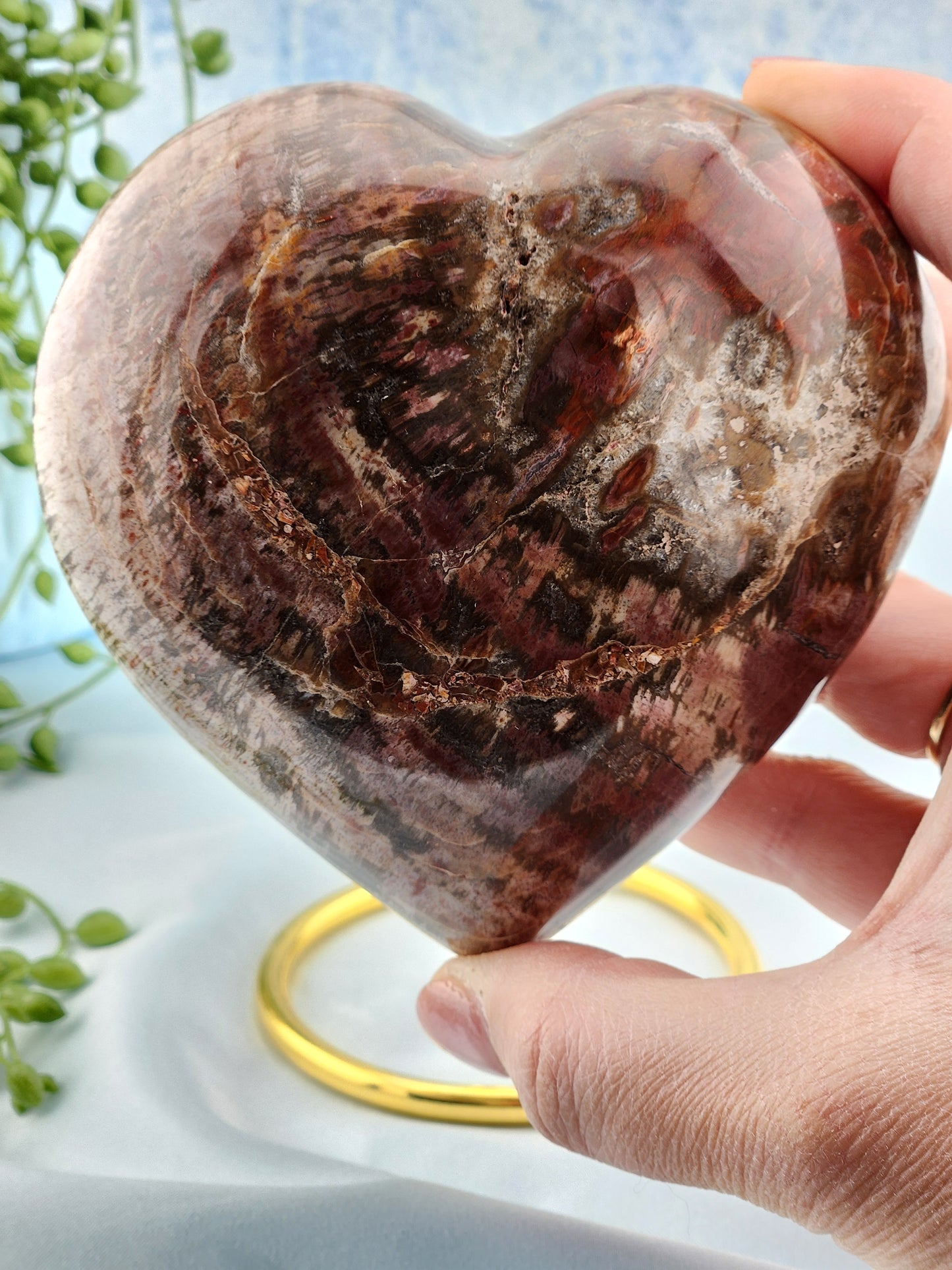 Petrified Wood Heart