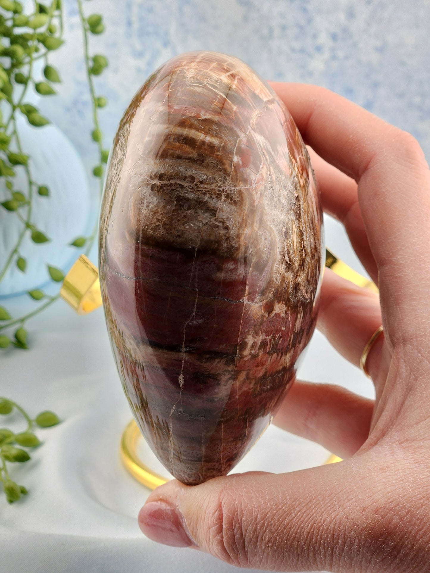 Petrified Wood Heart