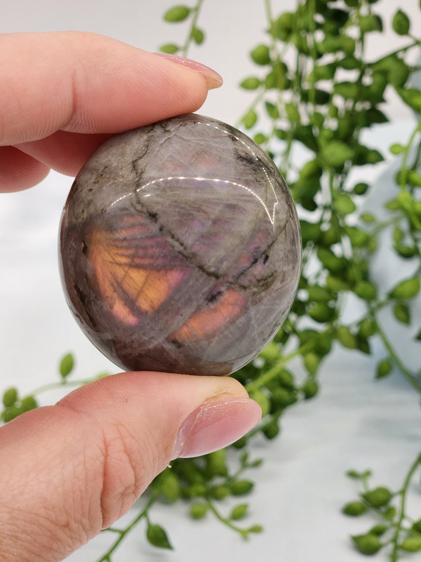 Labradorite Palmstone