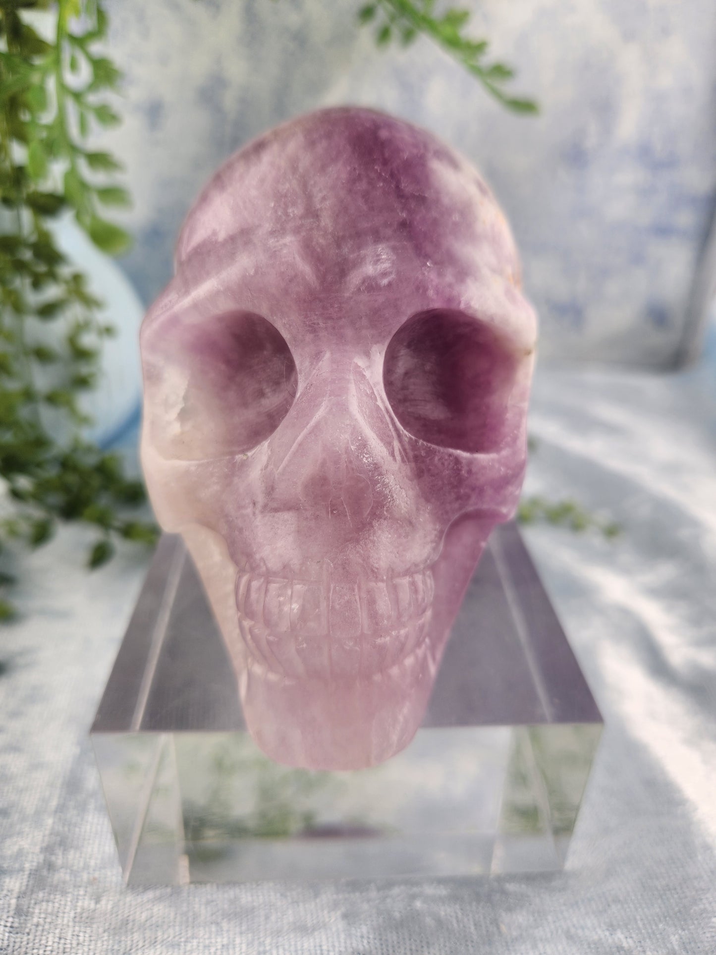 Purple Fluorite Skull