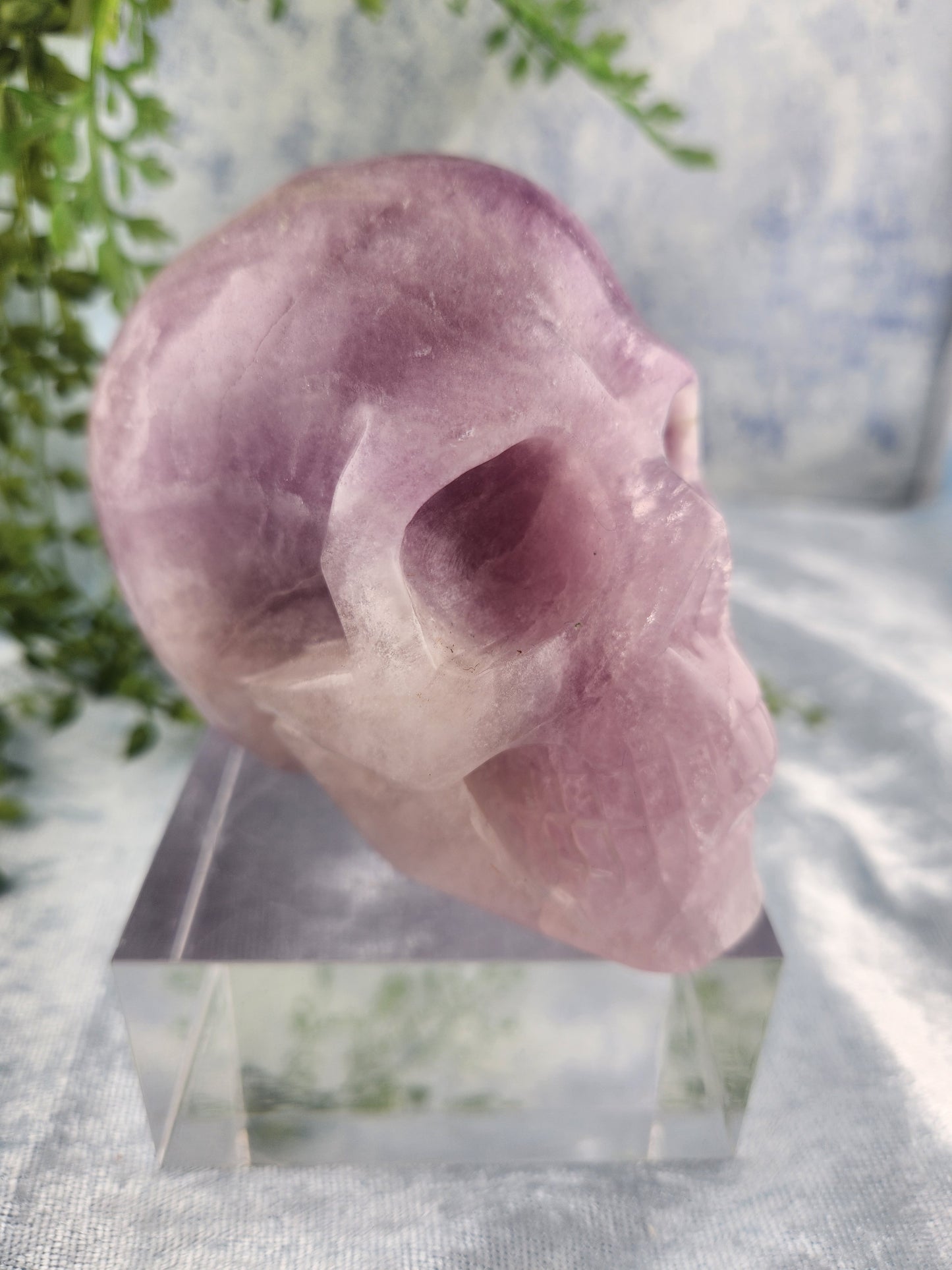 Purple Fluorite Skull