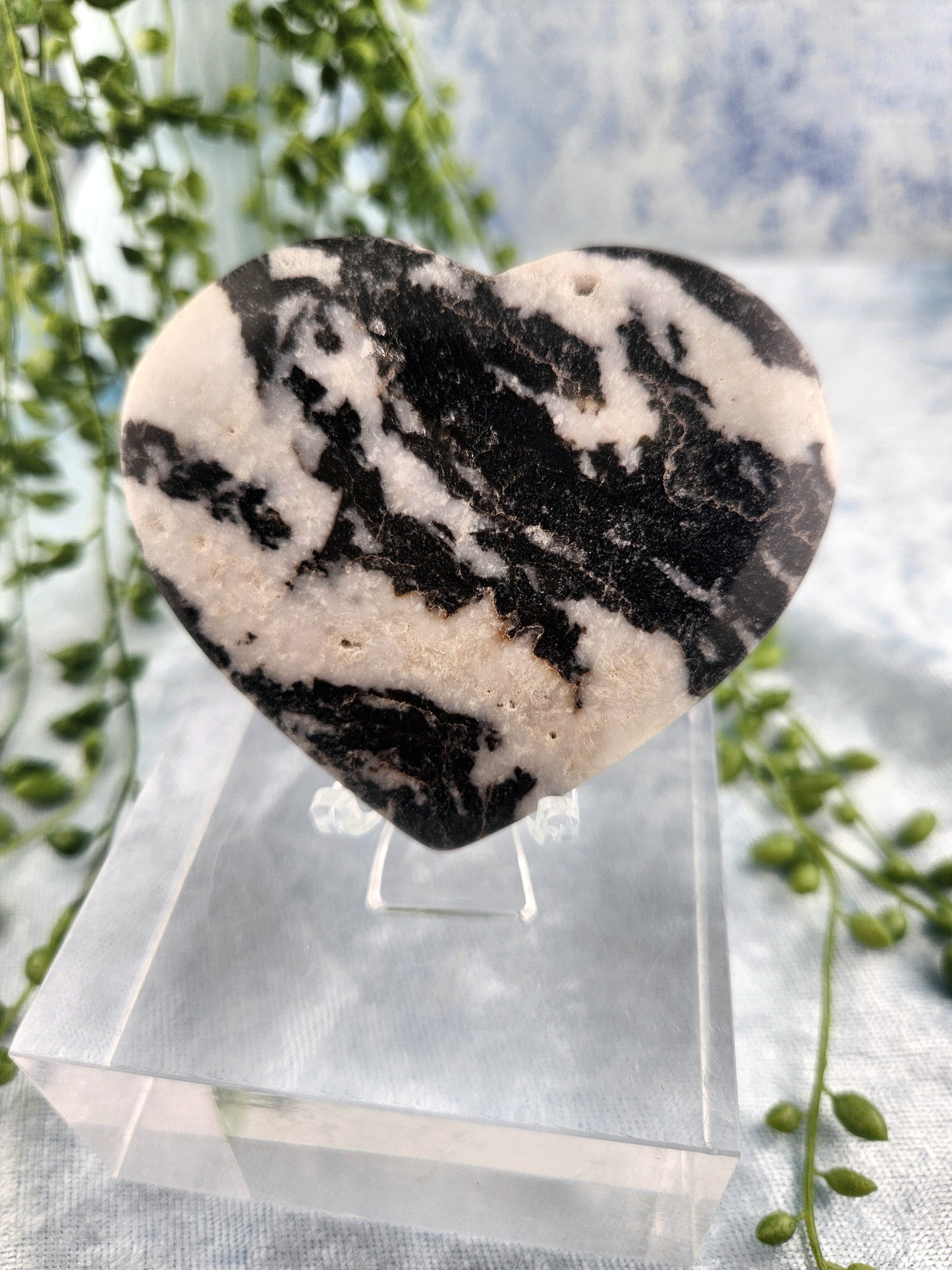 Zebra Jasper Heart