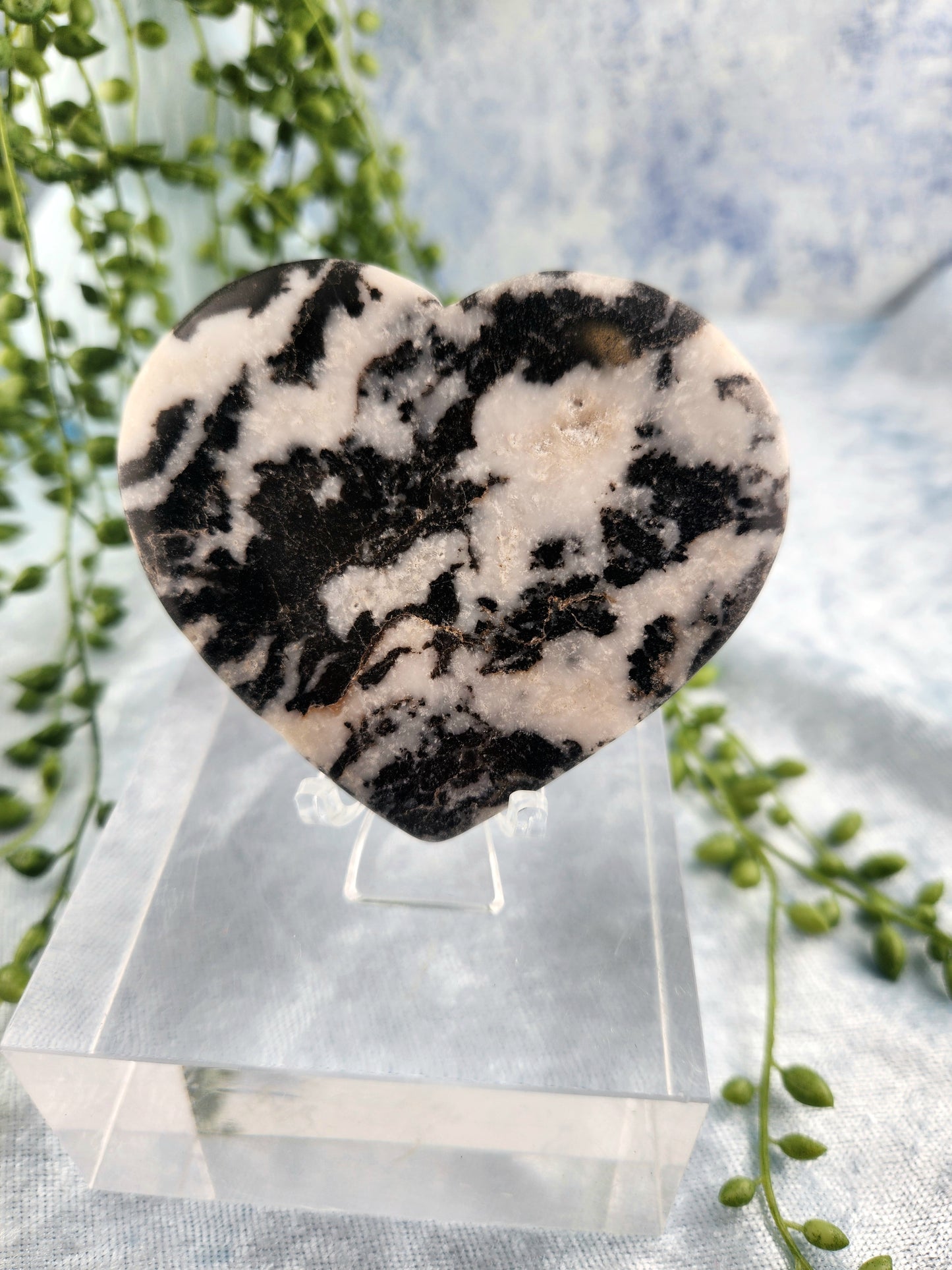 Zebra Jasper Heart