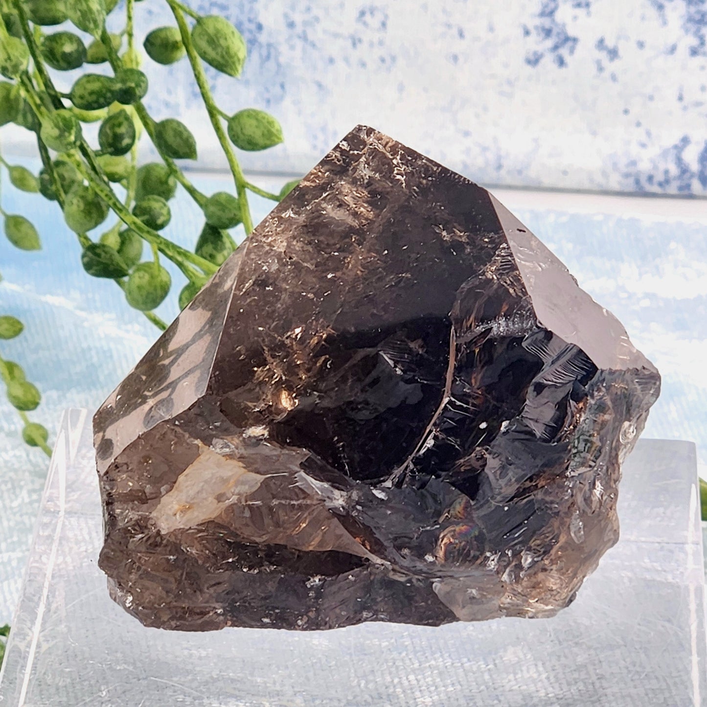 Elestial Smokey Quartz