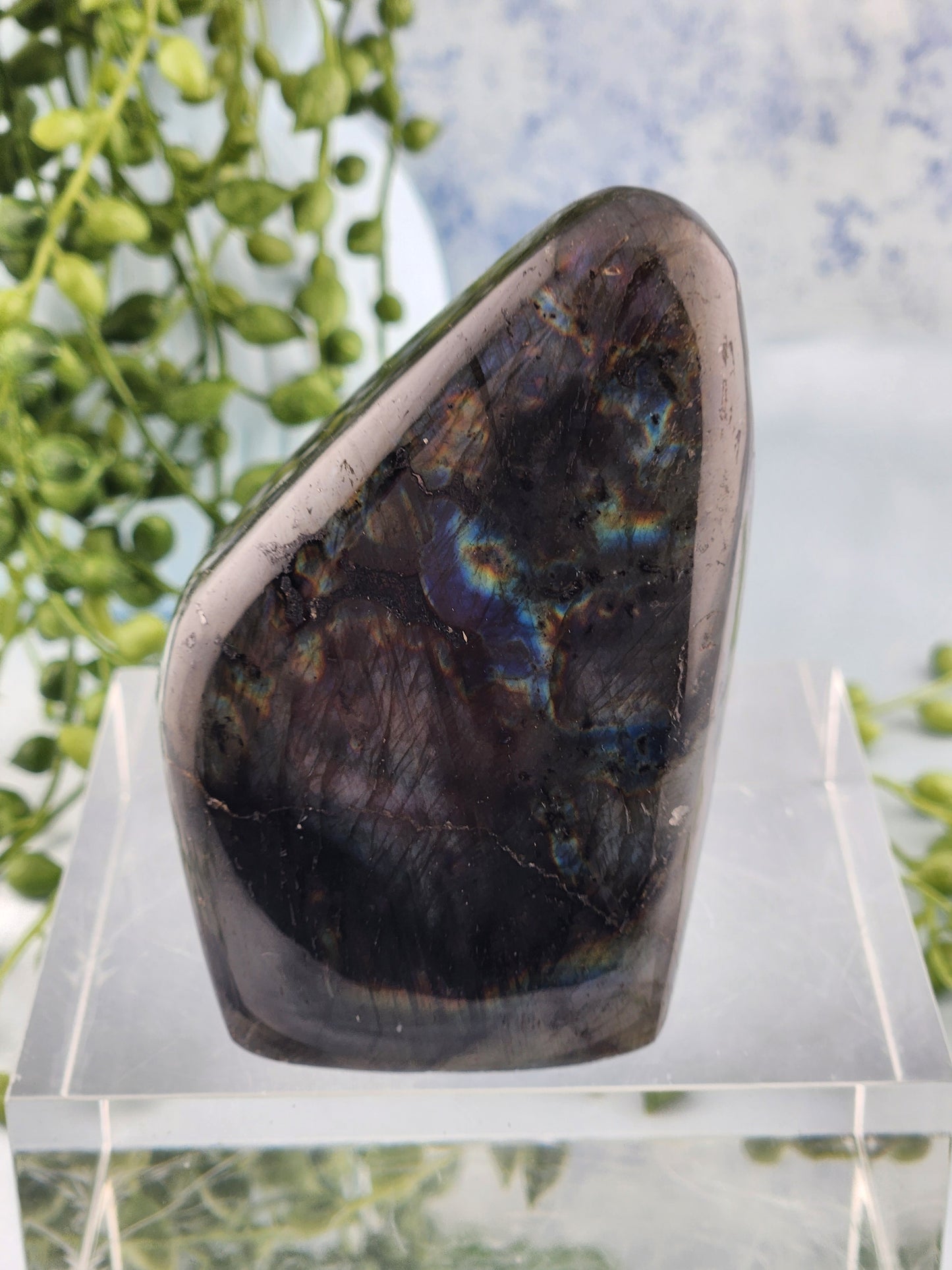 Labradorite Freeform