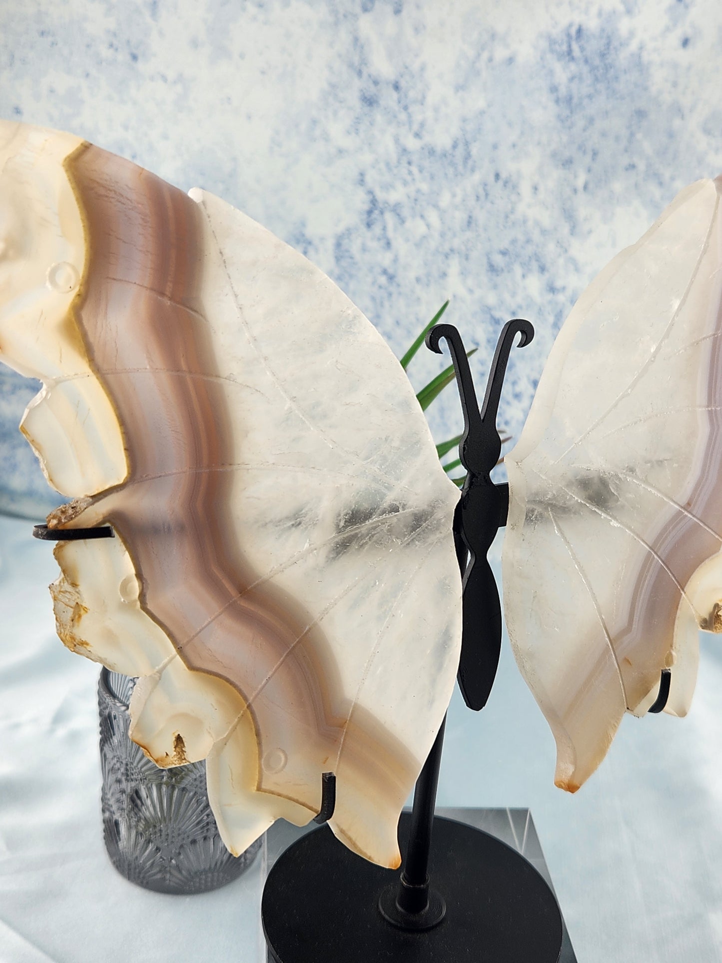 Banded Agate Butterfly Wings On Custom Stand