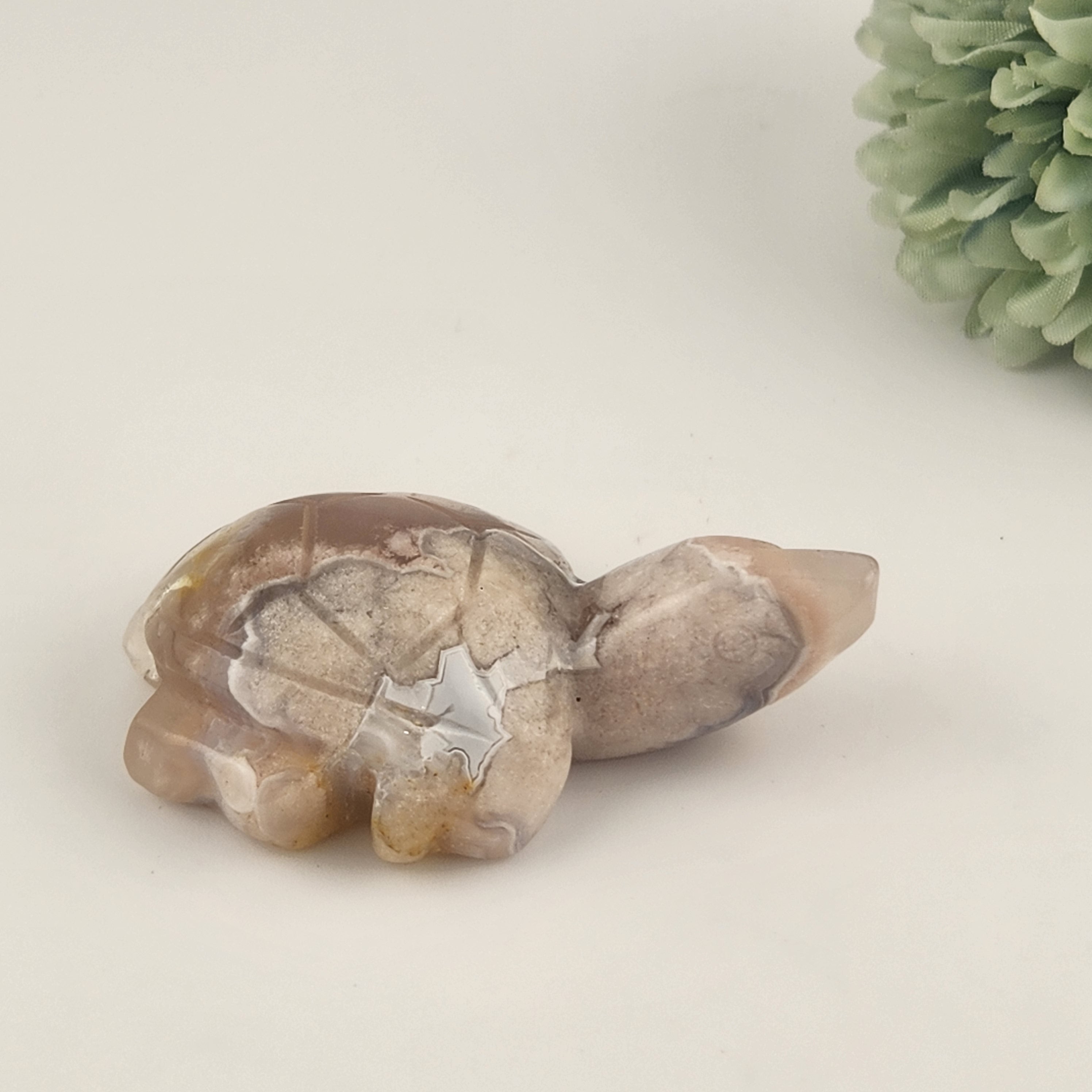 Flower Agate Turtle