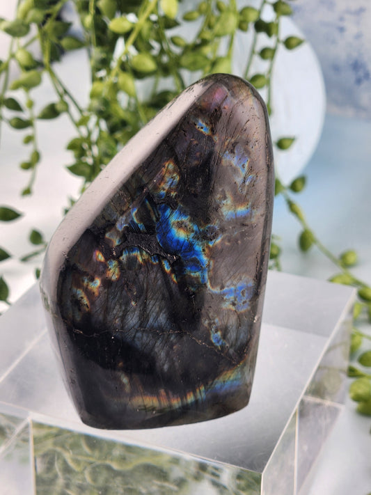 Labradorite Freeform