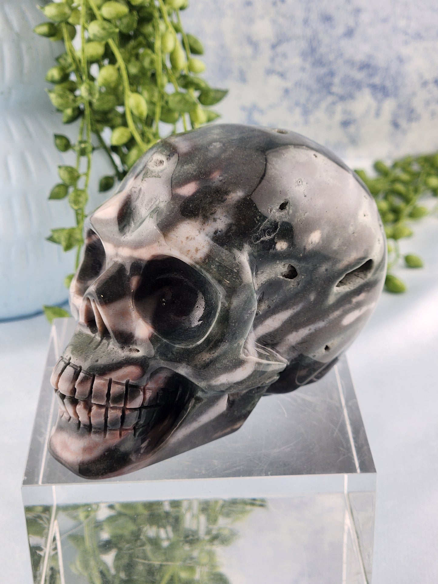 Ocean Jasper Skull