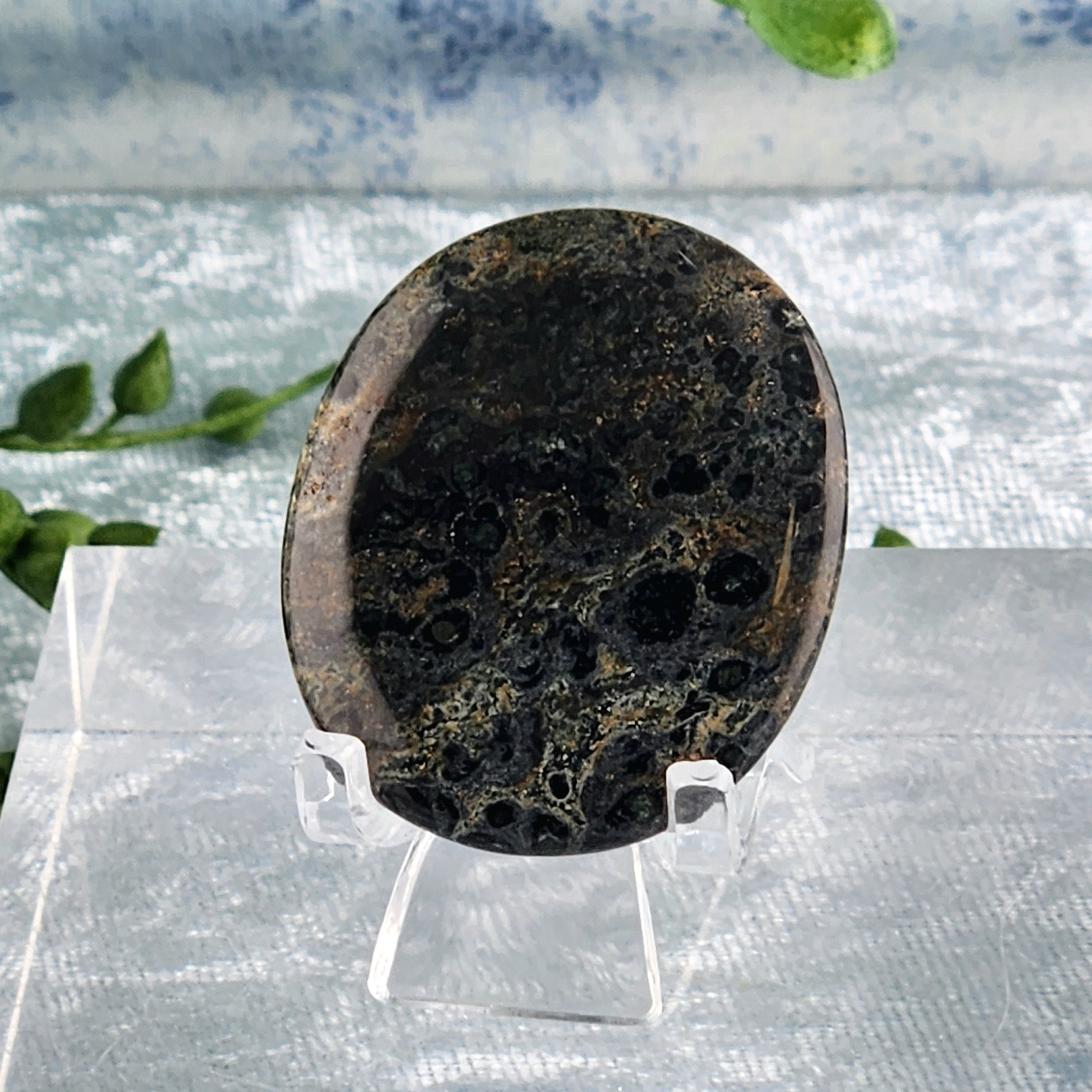 Kambaba Jasper Flat Stone